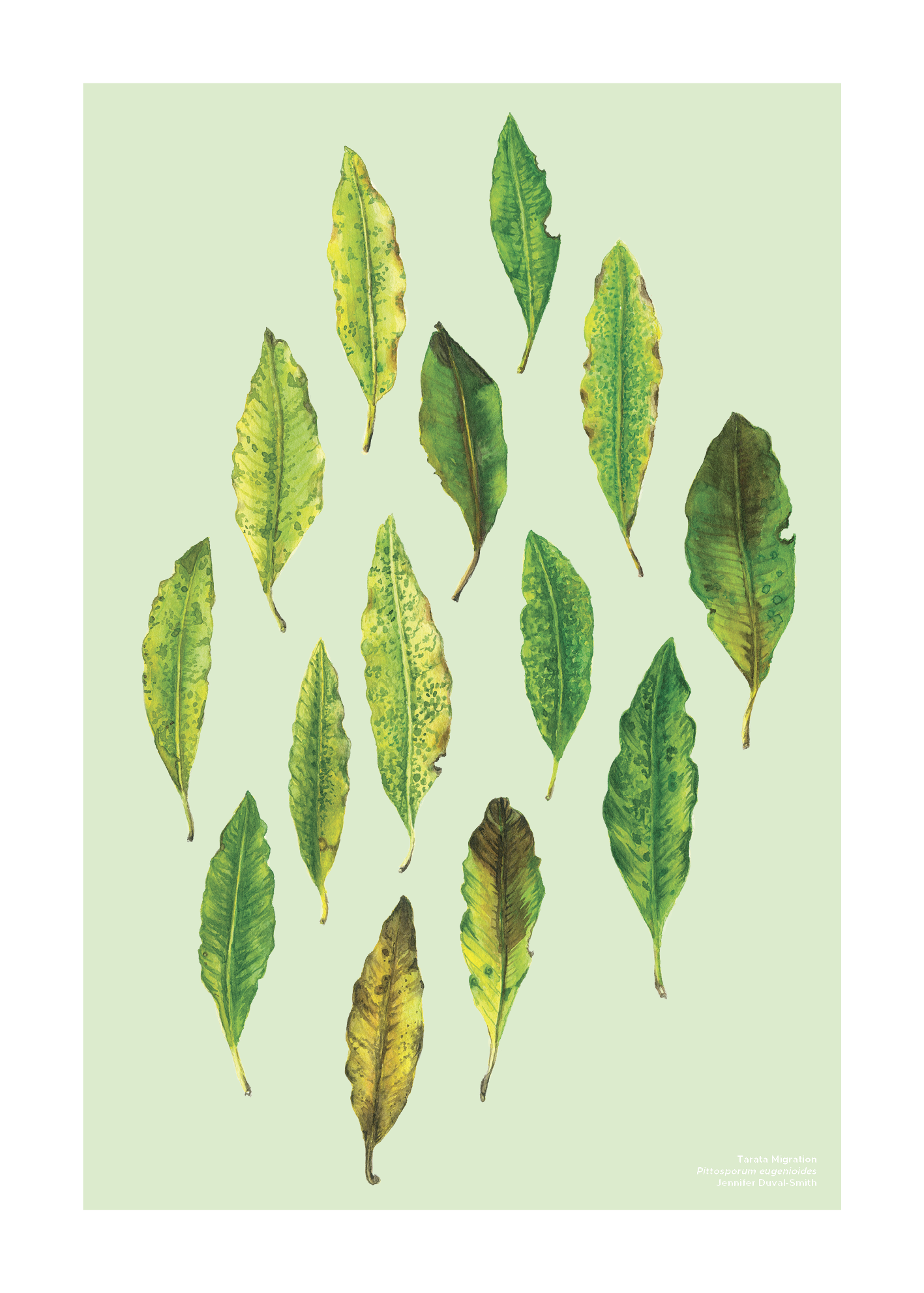 PRE-ORDER Linen Tea Towel - Tarata Migration