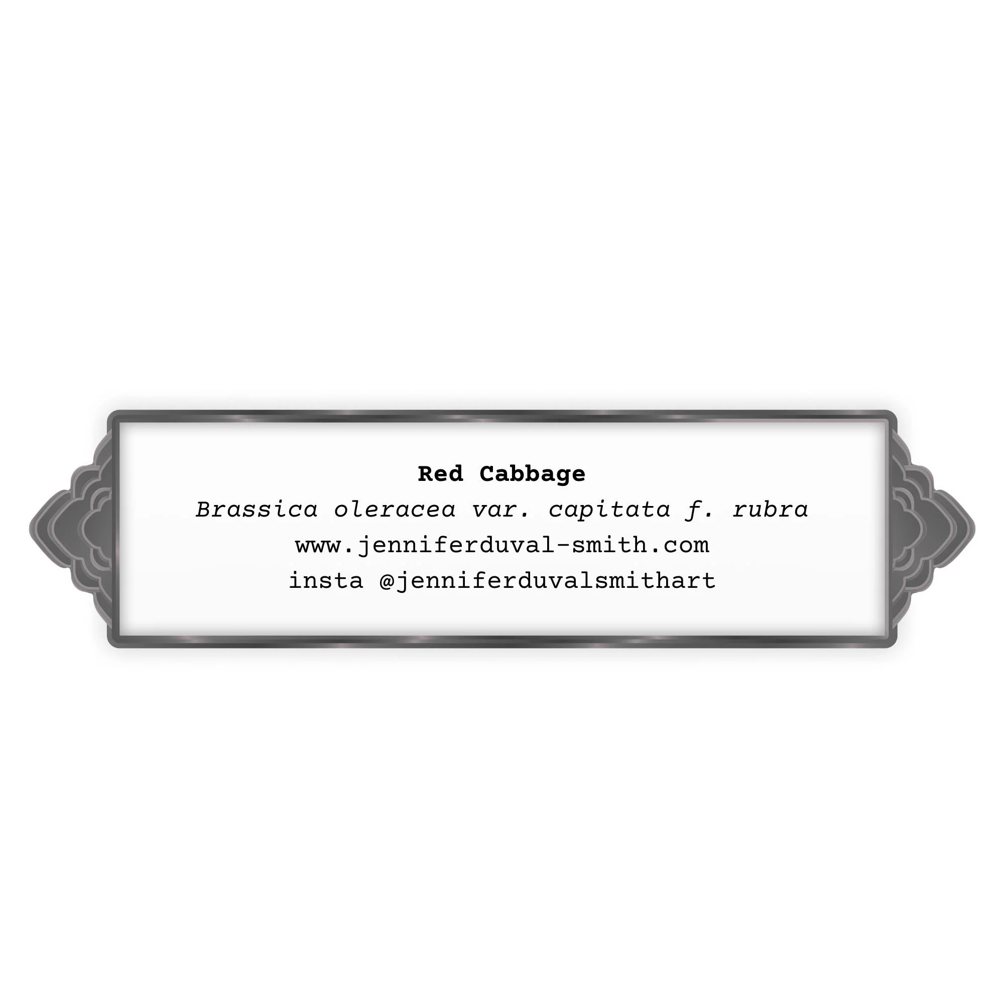 Red Cabbage card back.jpg