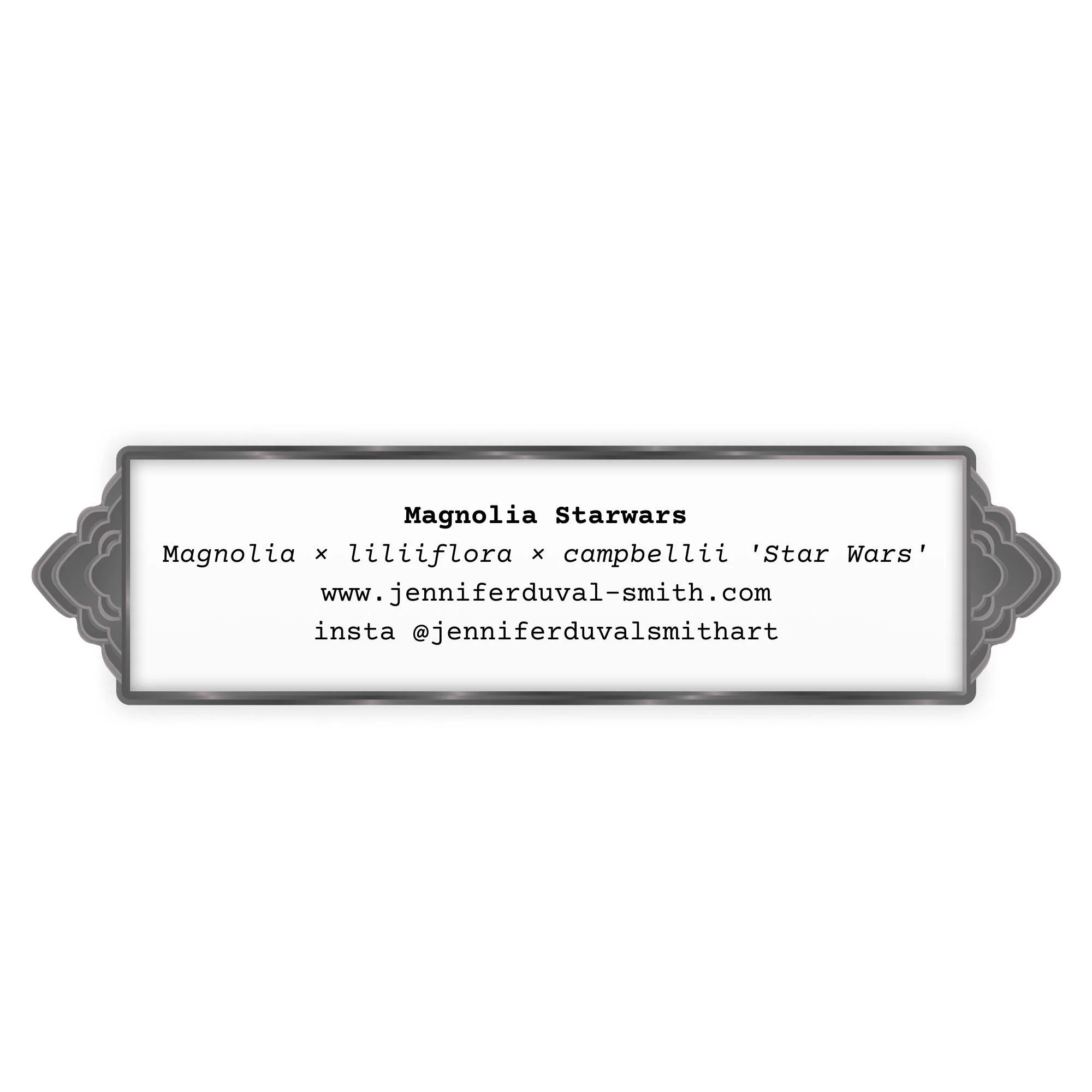 Magnolia card back.jpg