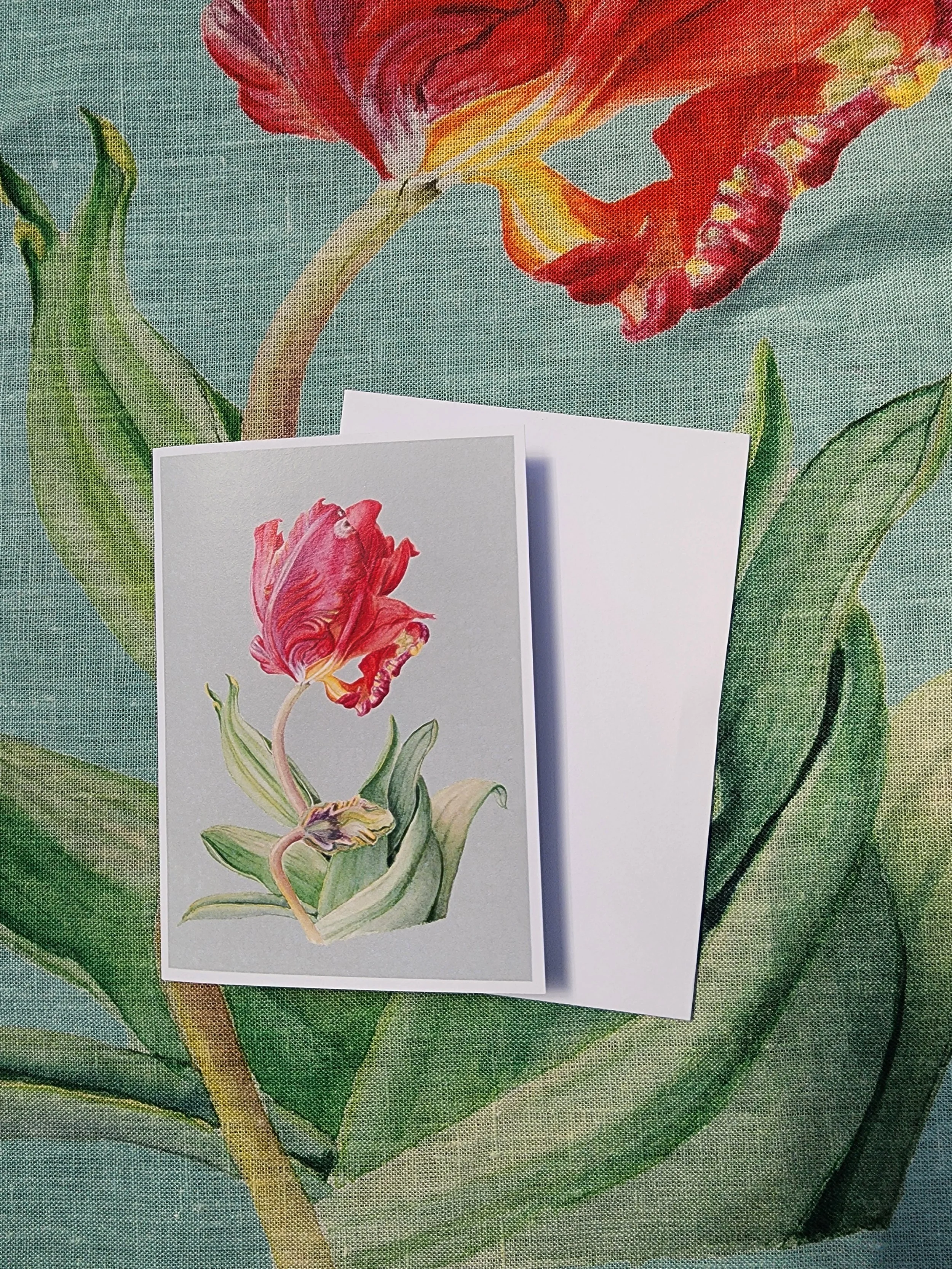 Parrot Tulip Greeting Card