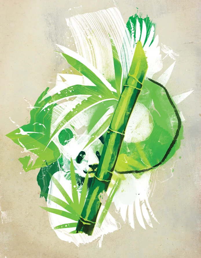 panda alpahbet illustartion.jpg