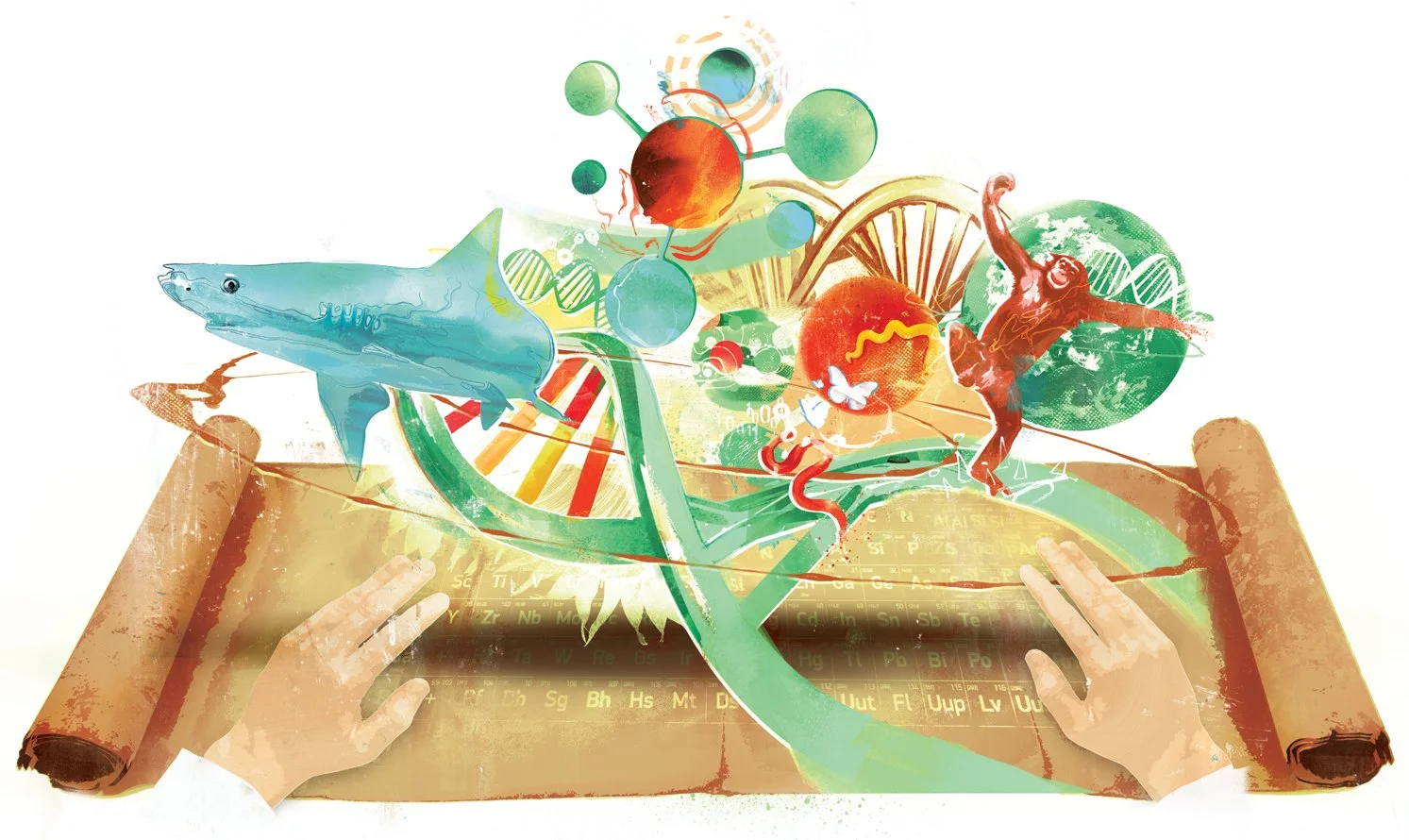 Children’s book evolution illustration featuring DNA, science, and space themed educational concepts