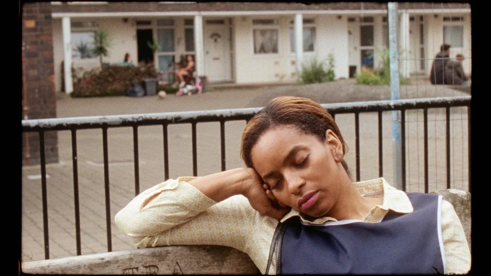 Ackee and Saltfish-01.jpg