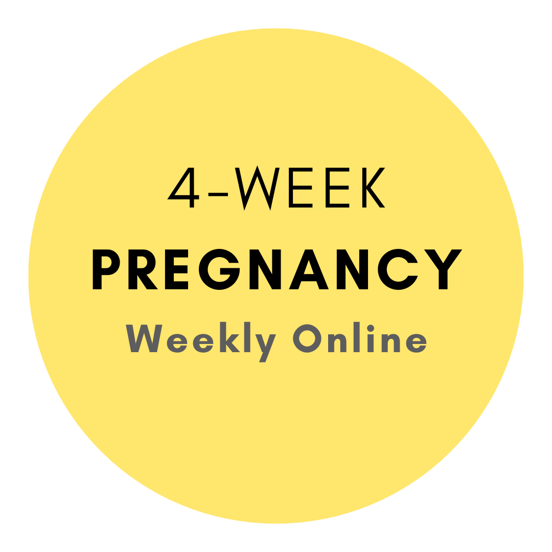4-Week Pregnancy Support Group