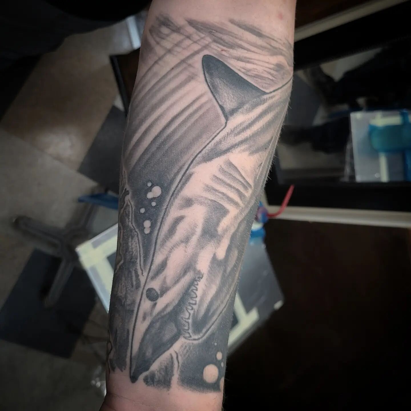 Finished up this big shark piece a little while back. Great time working on it, and had the pleasure of seeing it fully healed. #drvodkatattoos #americantattoostudios #blackandgreytattoo #shark #sharktattoo #blackandgreytattoos #blackandgrey #sharkta