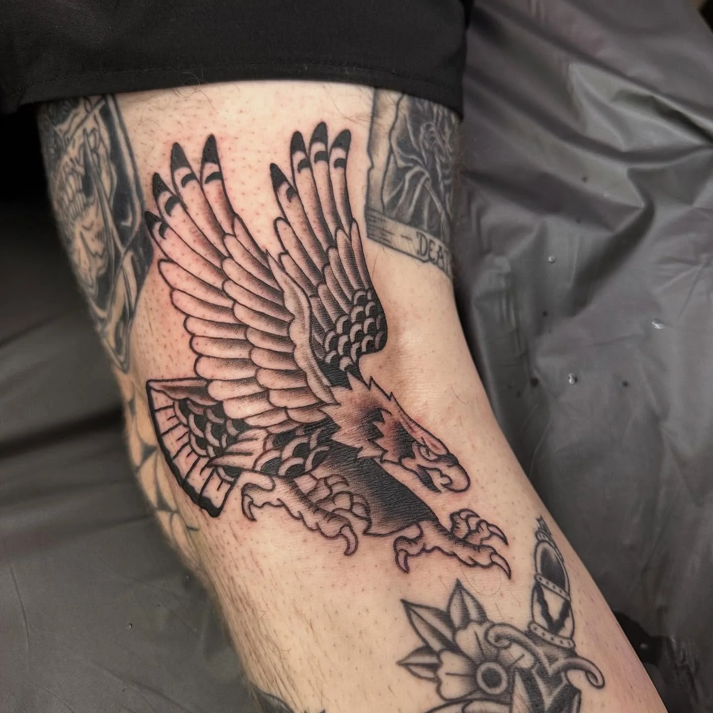 eagle from the other day 🦅🦅🦅 I have time this upcoming Tuesday, Wednesday, and Thursday for anyone looking to schedule something!! 🫶