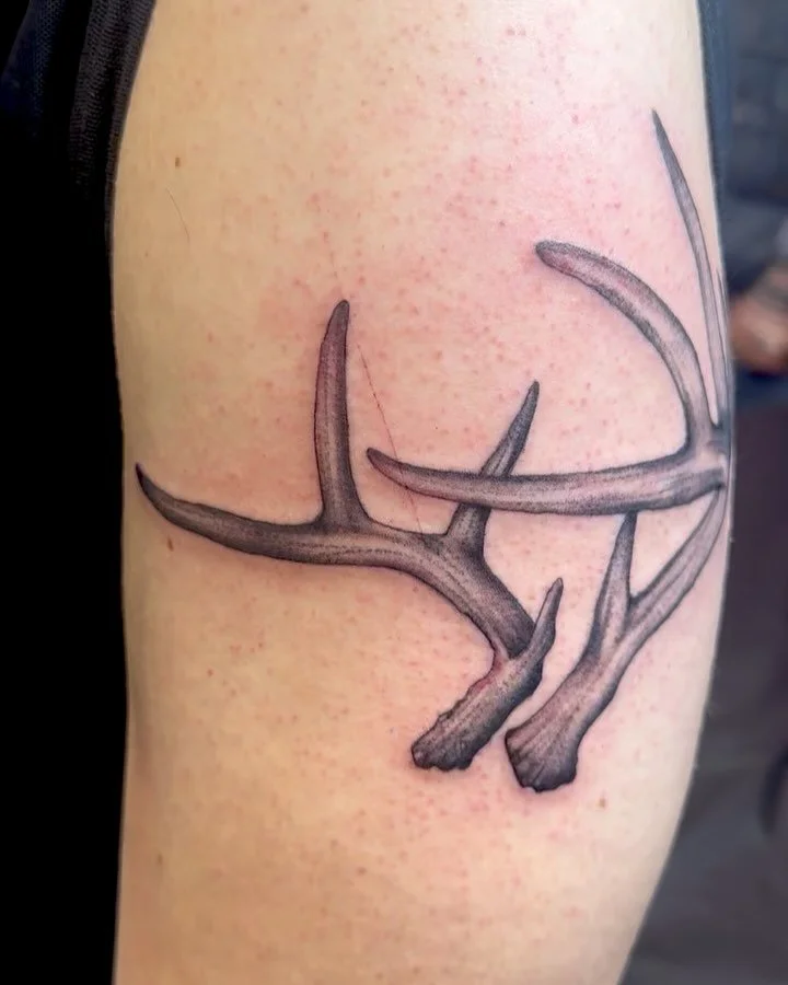 some custom deer antlers from the other day 🦌🦌🦌

I've got a bunch of time all month for tattoos, shoot me a message to schedule something!! Your idea or I've got plenty of flash to choose from 🤍🤍