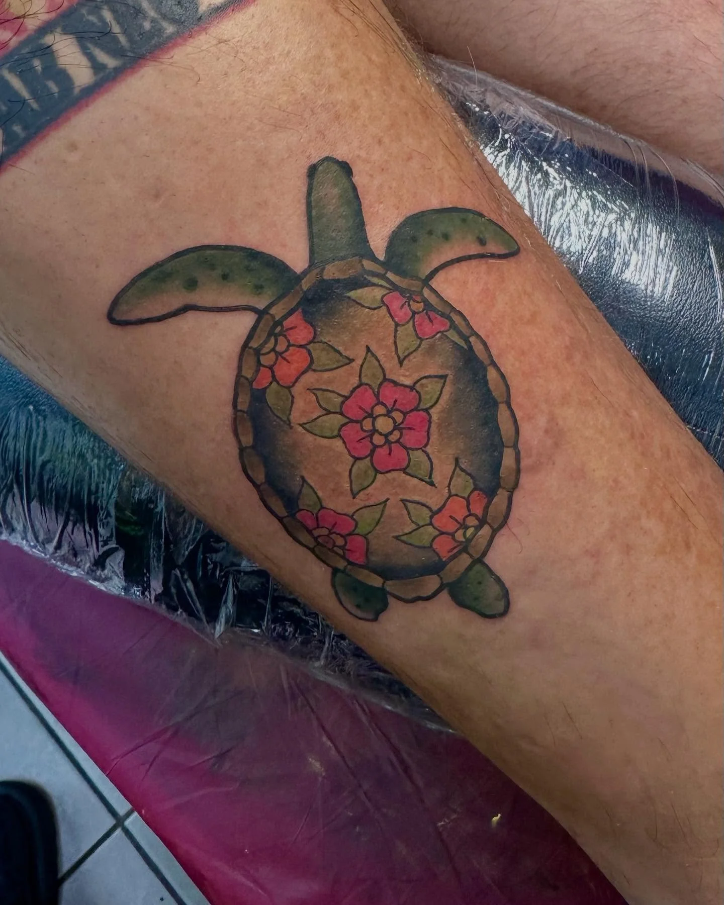 UV light reactive turtle I got to do 💚💚 swipe to see it glow 🐢🐢🐢