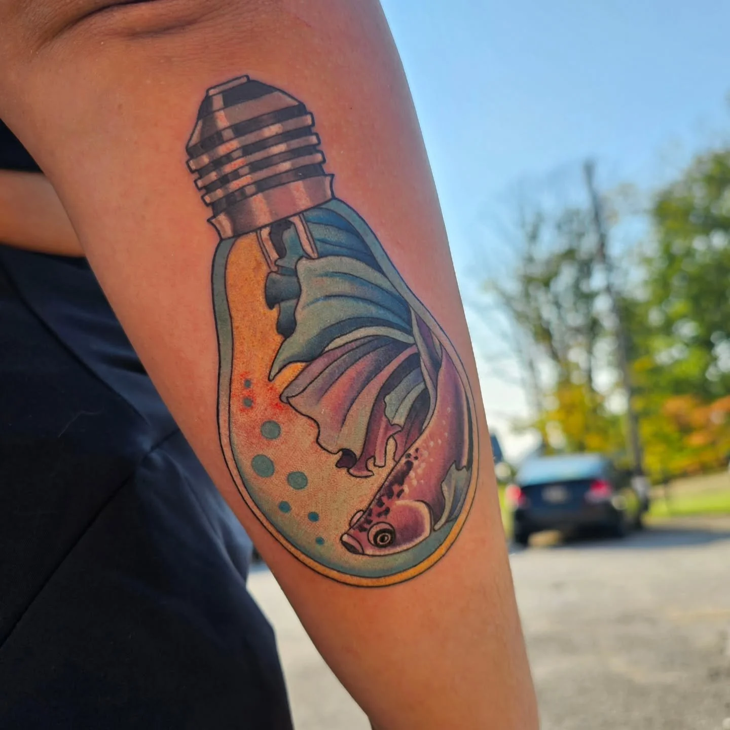 Beta in a light bulb from my flash. ♡  can't wait until I can take photos outside again. 

Booking now! LINK in BIO!
calendly.com/j3mink

#flashtattoo #betafishtattoo #surrealtattoo #neotradtattoo #colortattoo