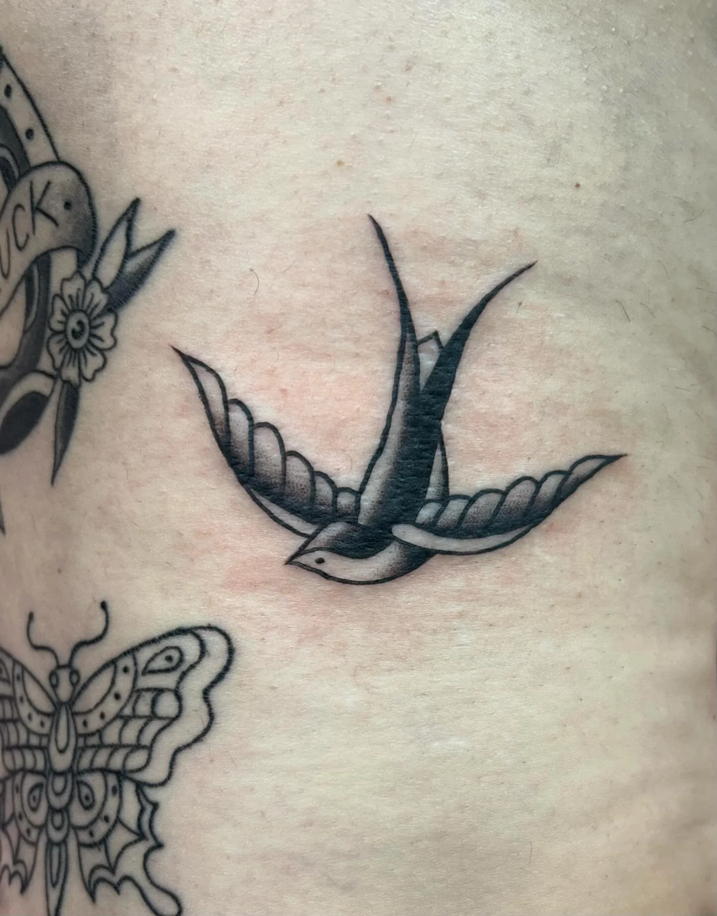 bird, a bug, and a pepper (surrounding work not by me)! so happy i got to do these in this past week, it was a blast :)) send me your ideas and let me draw up a creature for you!! 

p.s. if u come get tattooed theres a 120% chance u will be watching 