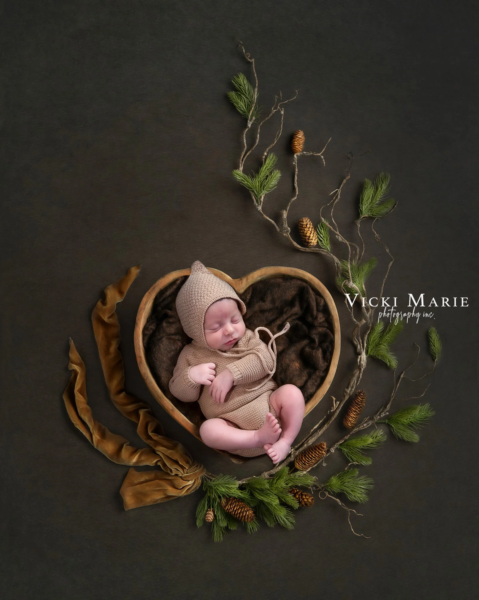 A sleeping baby in a knitted tan outfit and hat, lying in a heart-shaped wooden bowl on a dark background, surrounded by pine branches, pinecones, and swirling patterned brown fabric.
