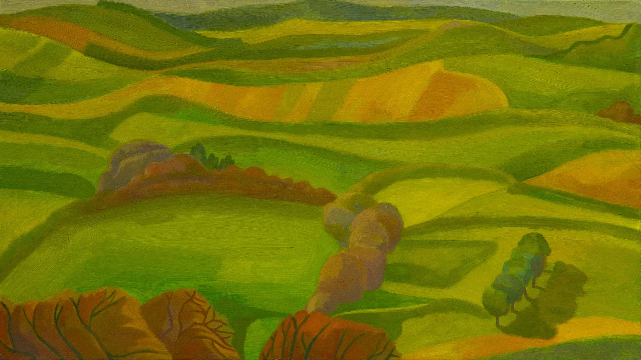 Across a valley, Northumberland LEICA.jpg