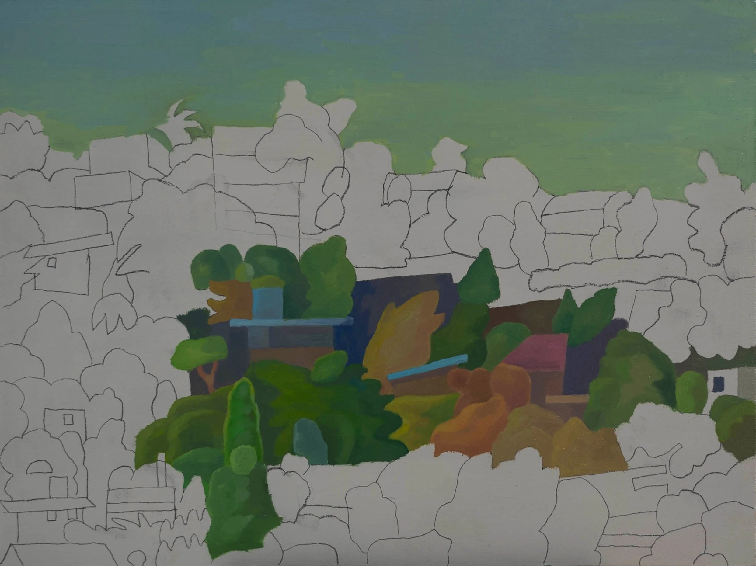 Houses on a hill Mexico Day 3.jpg