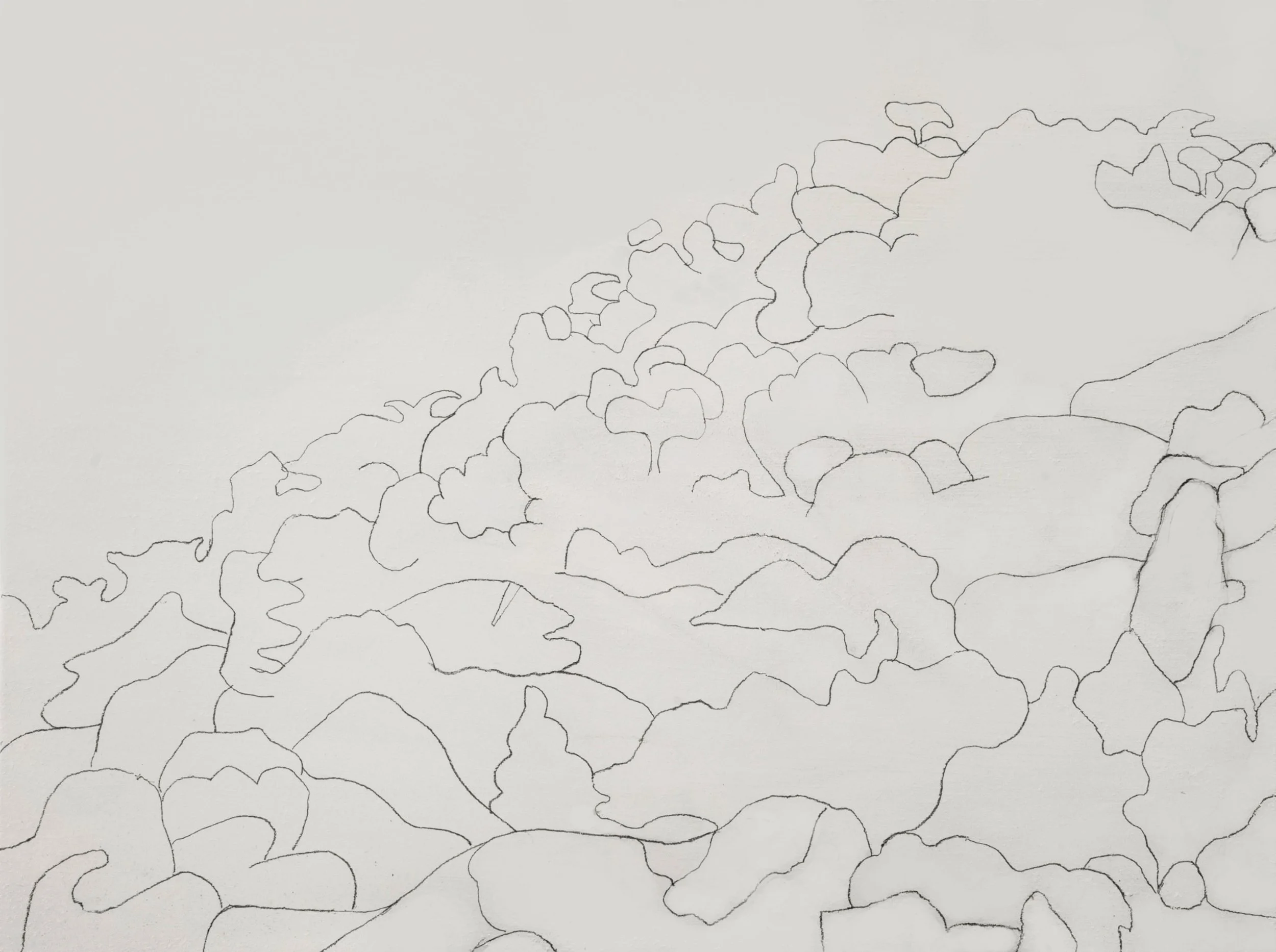 Hillside, Mexico Day 1.jpg