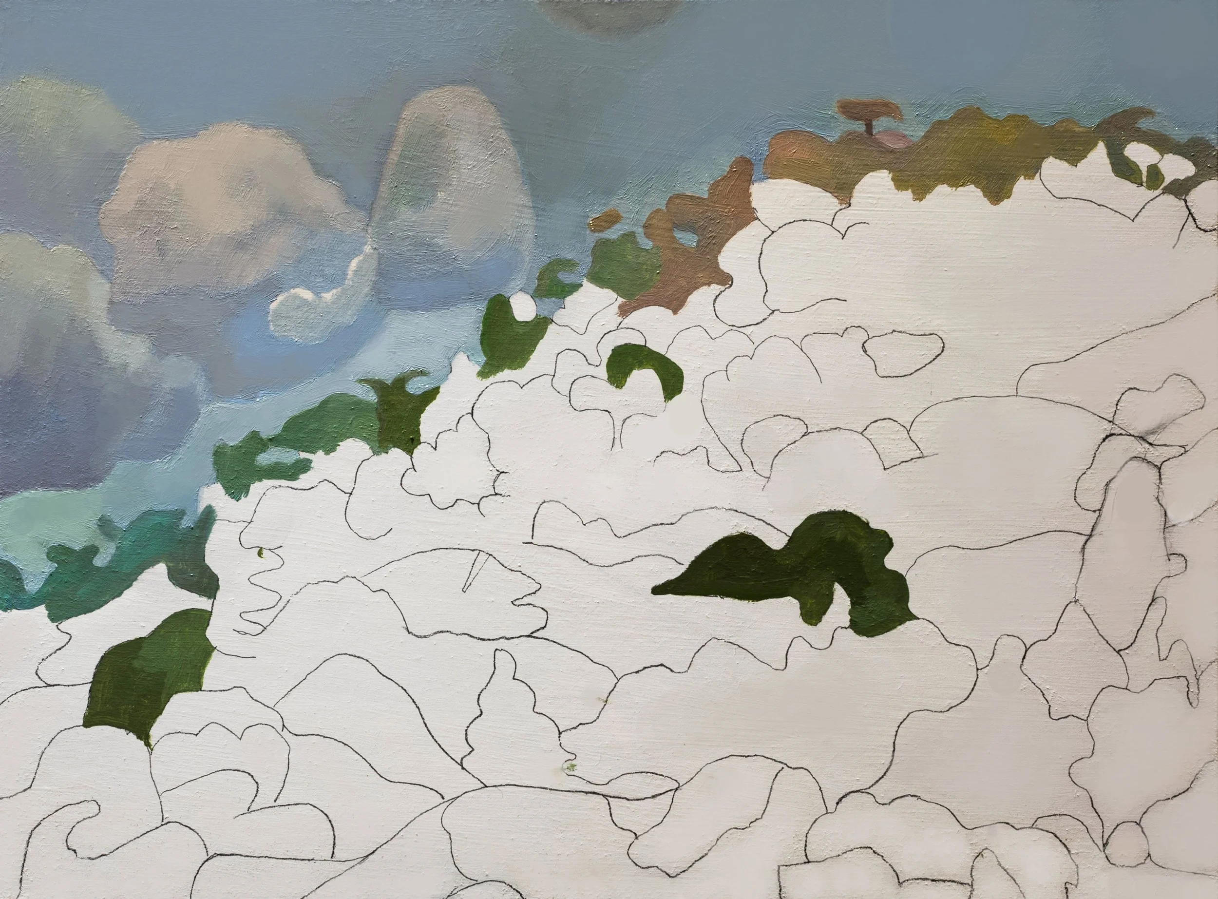 Hillside, Mexico Day 2.jpg