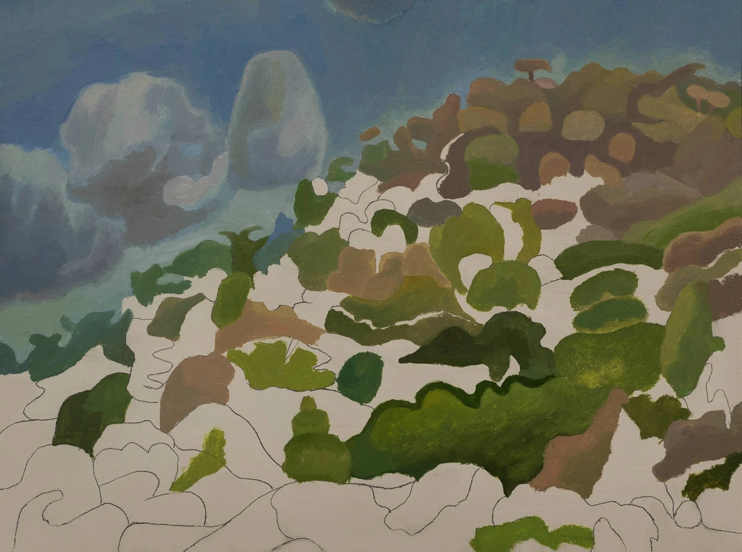 Hillside, Mexico Day 3.jpg