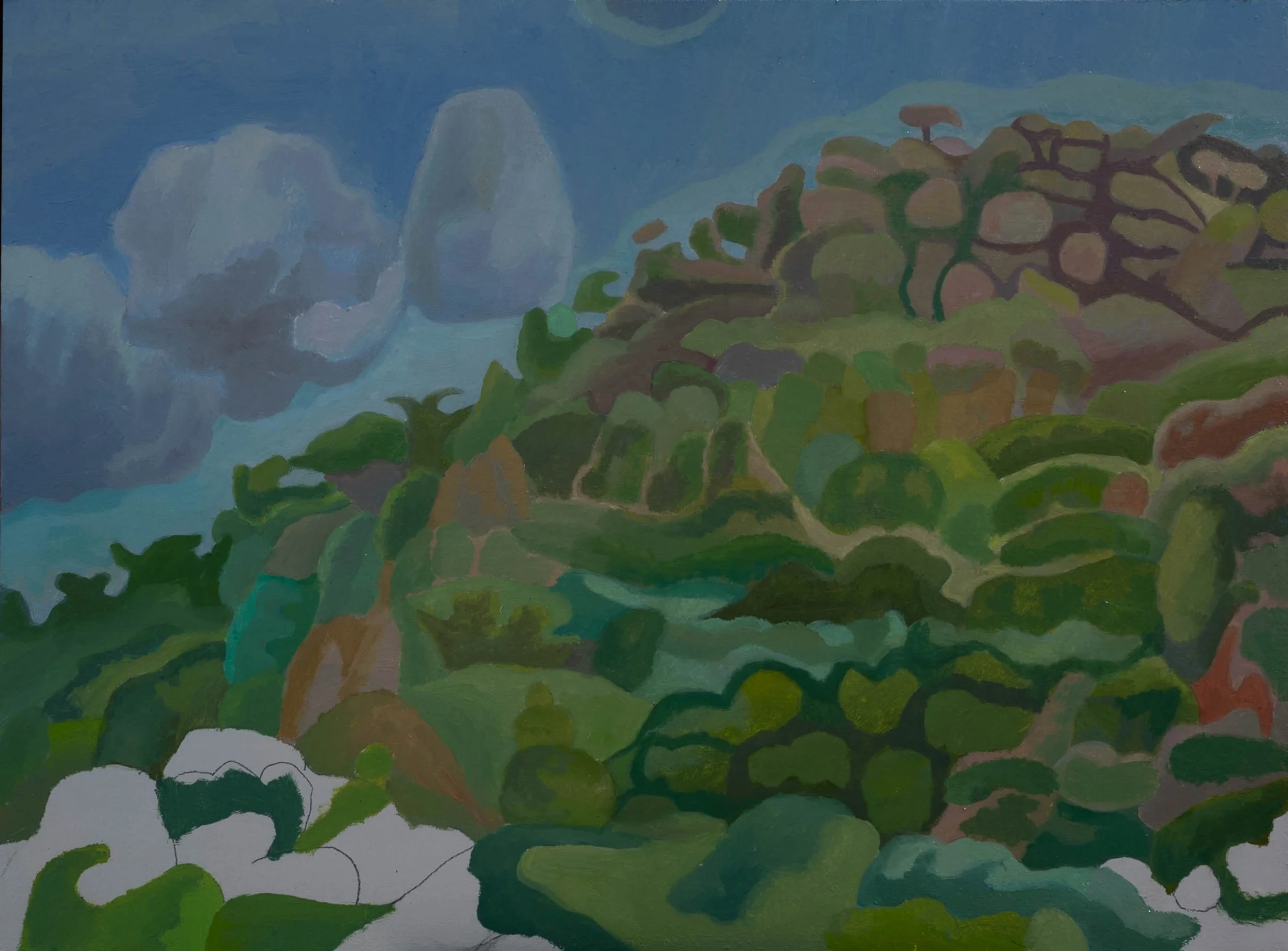 Hillside, Mexico Day 5.jpg