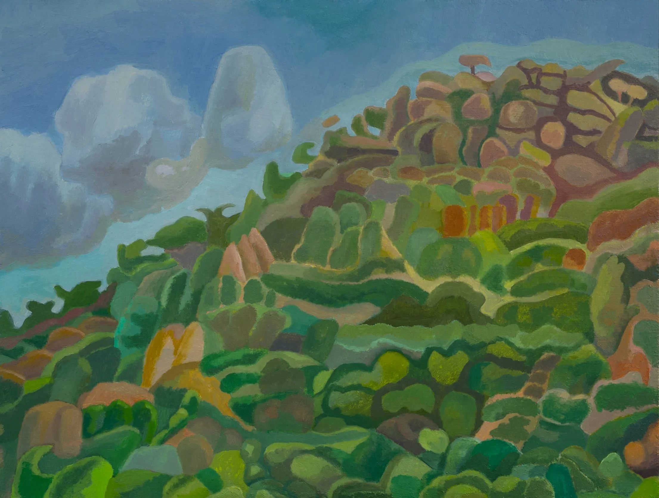 Hillside, Mexico Day 7b.jpg