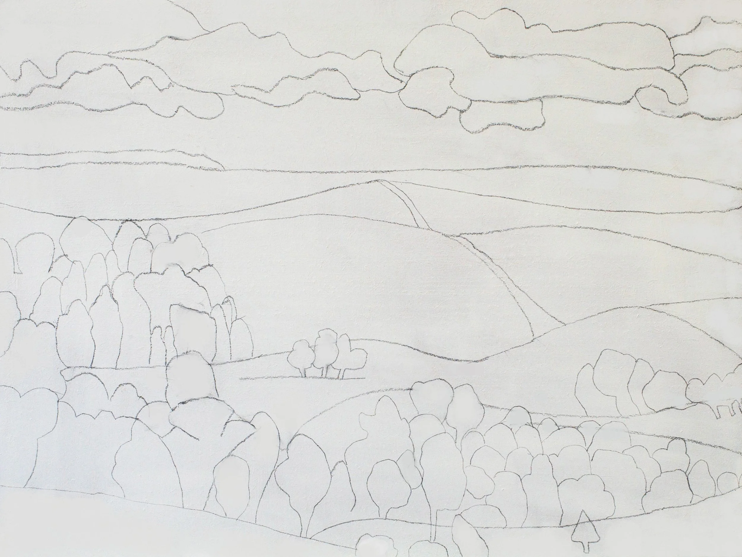 Trees in the valley Day 1.jpg