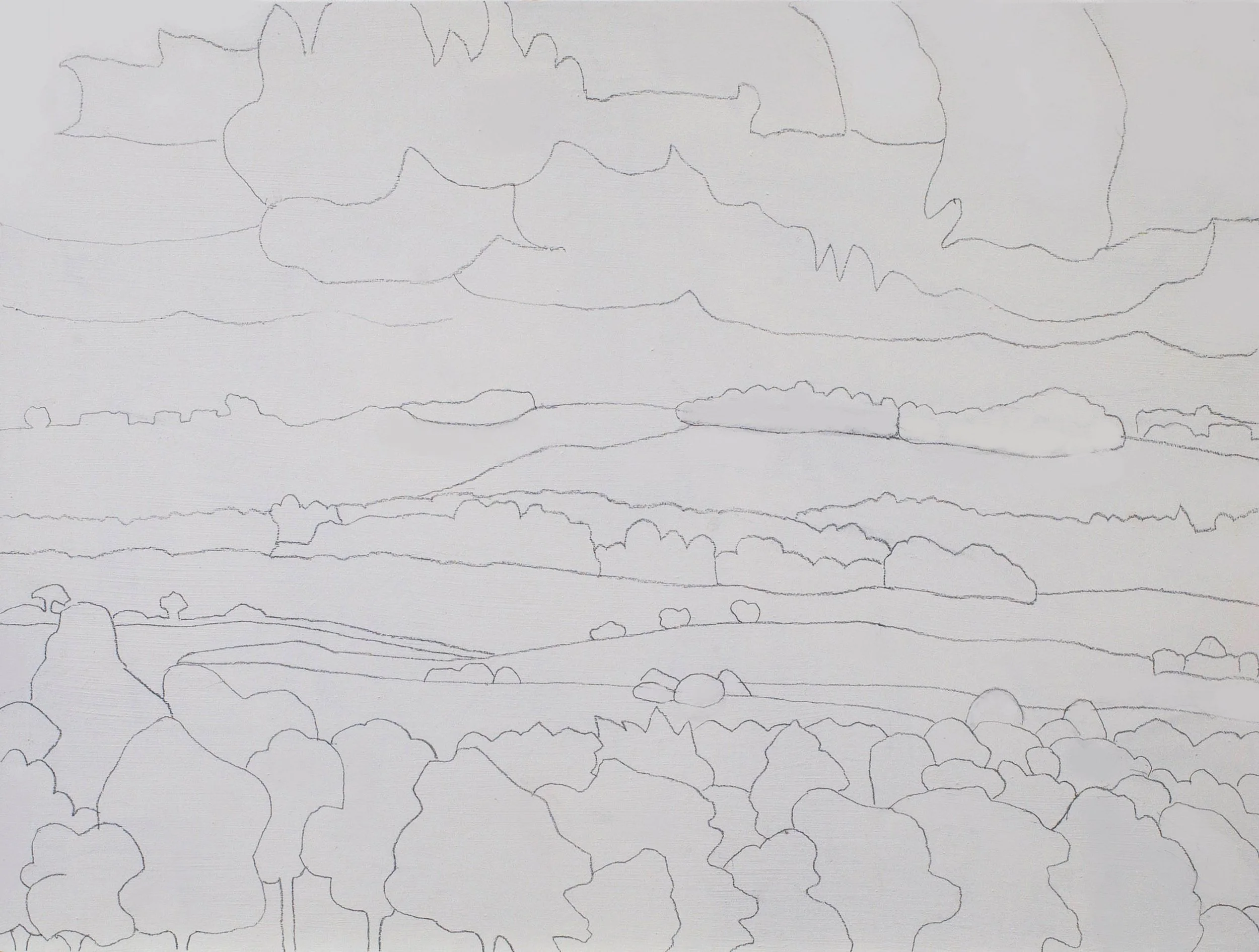 Yellow field, rain imminent. Day 1.jpg
