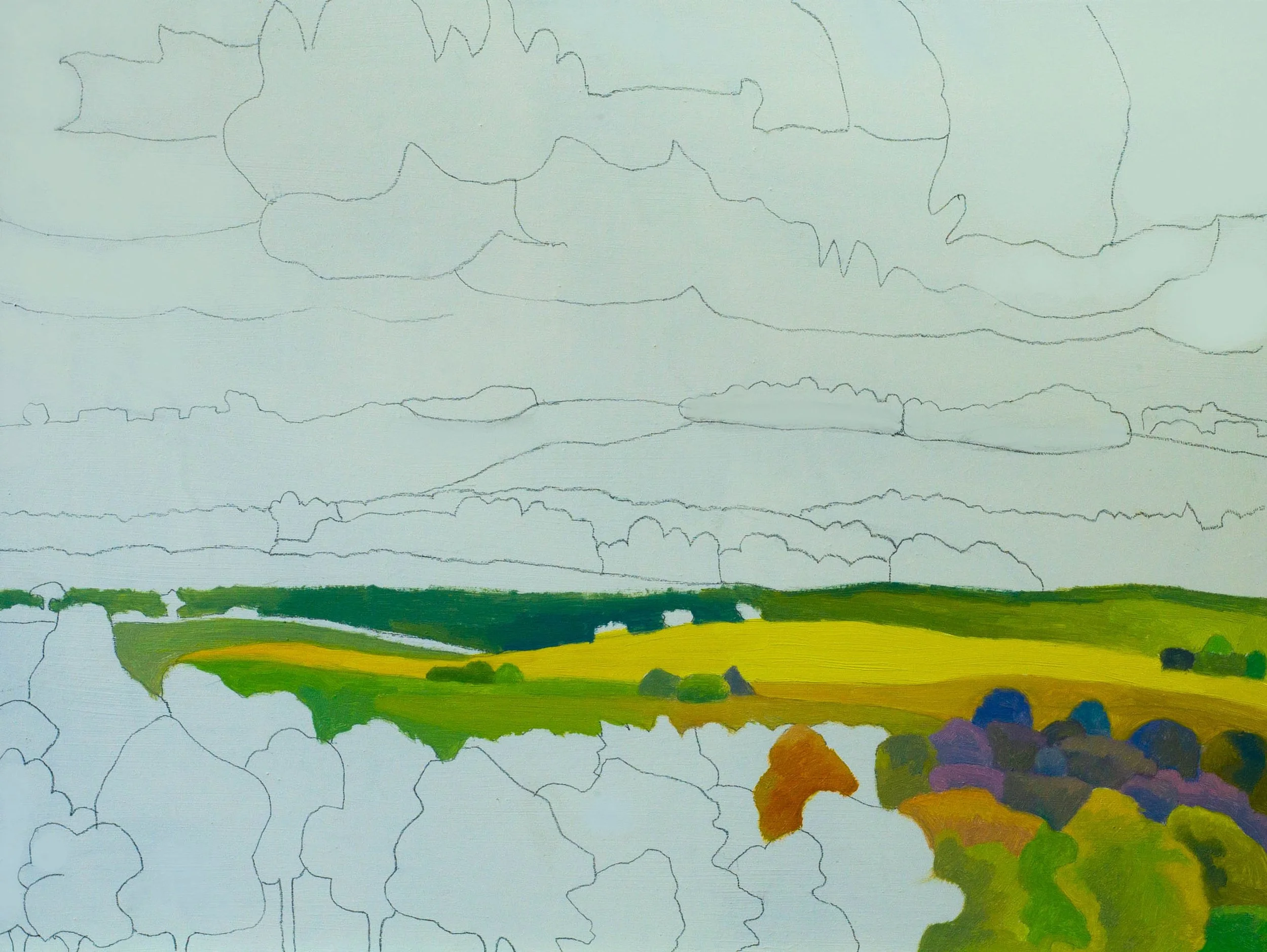 Yellow field, rain imminent. Day 2.jpg