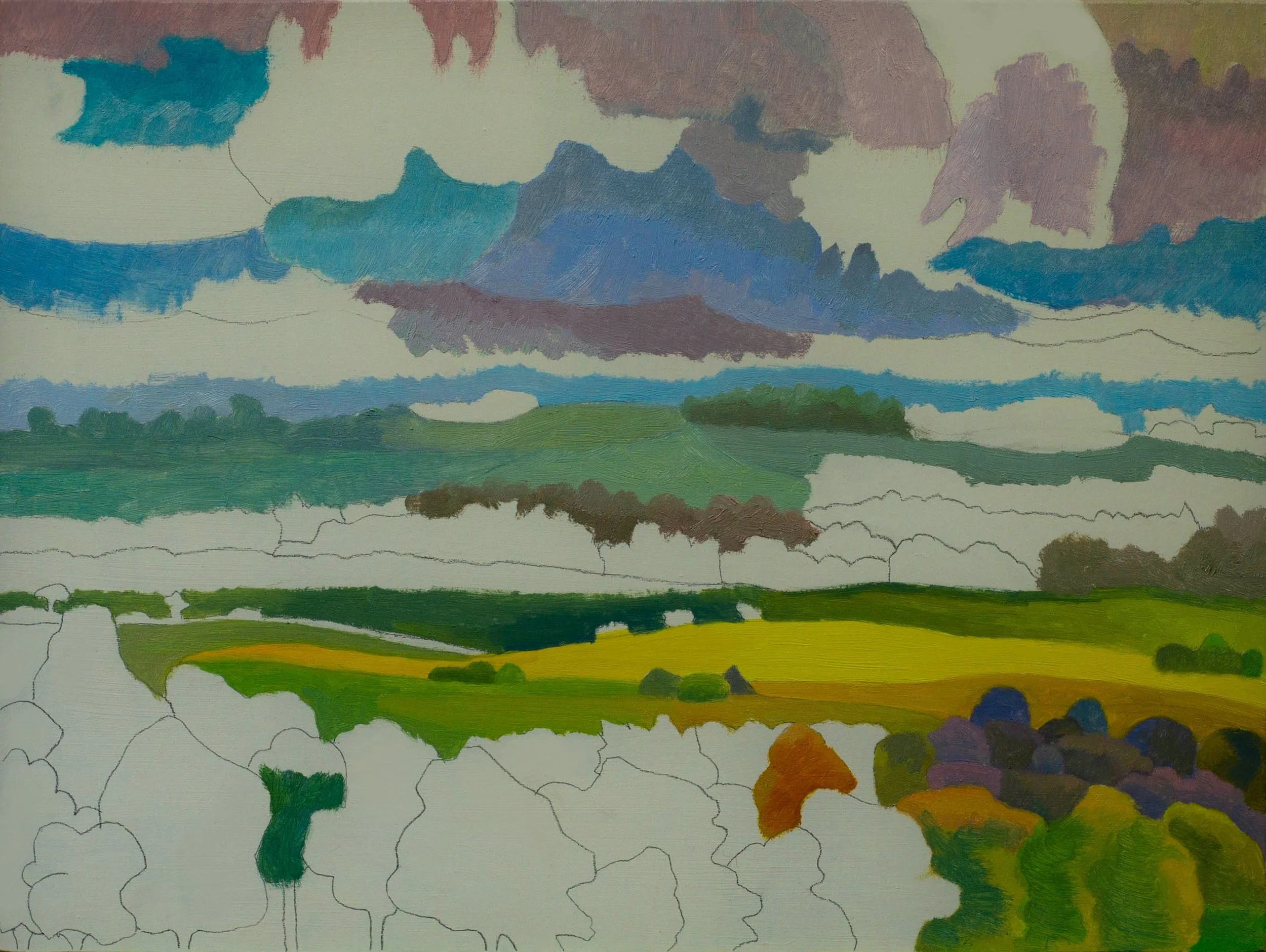 Yellow field, rain imminent. Day 3.jpg