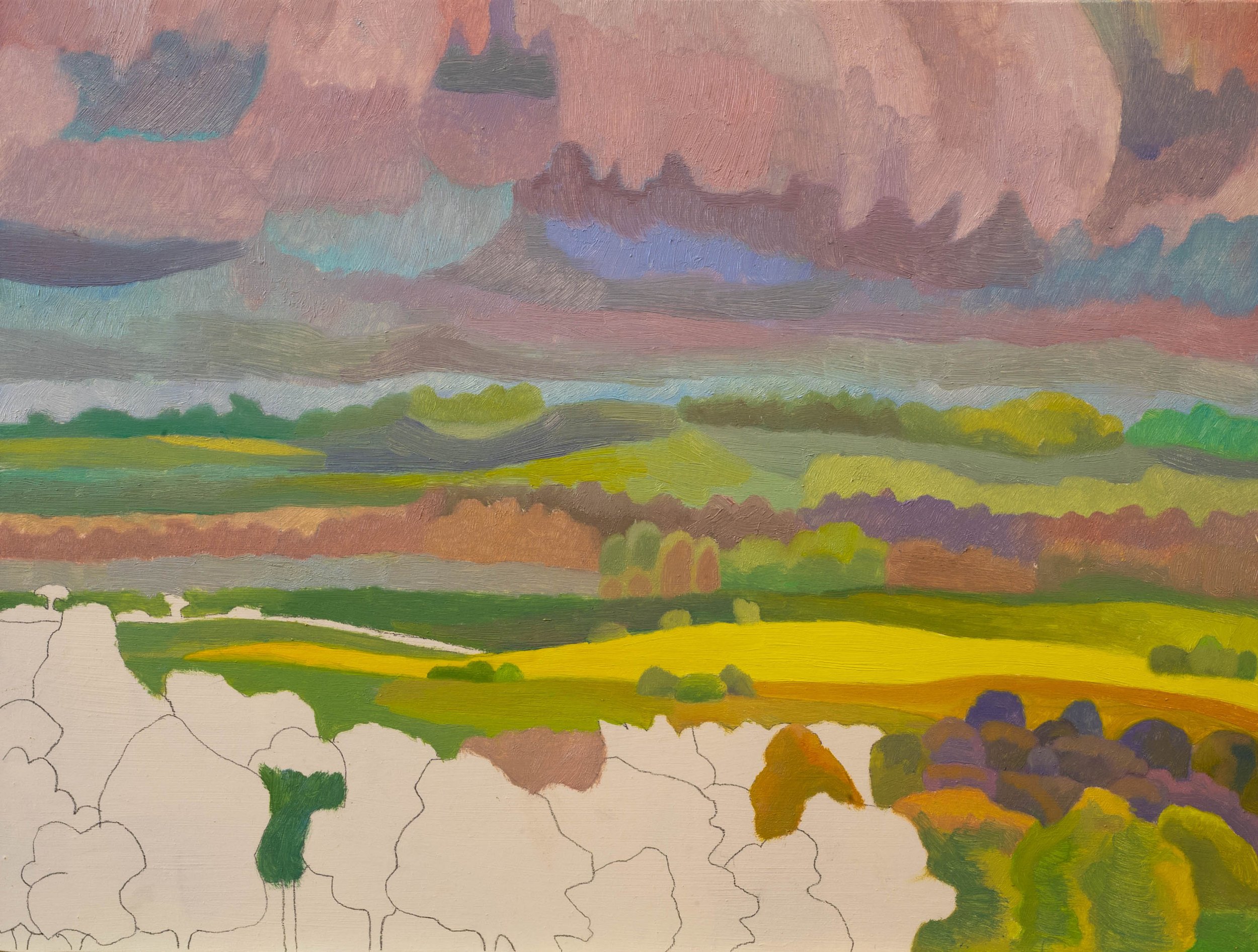 Yellow field, rain imminent Day 4.jpg
