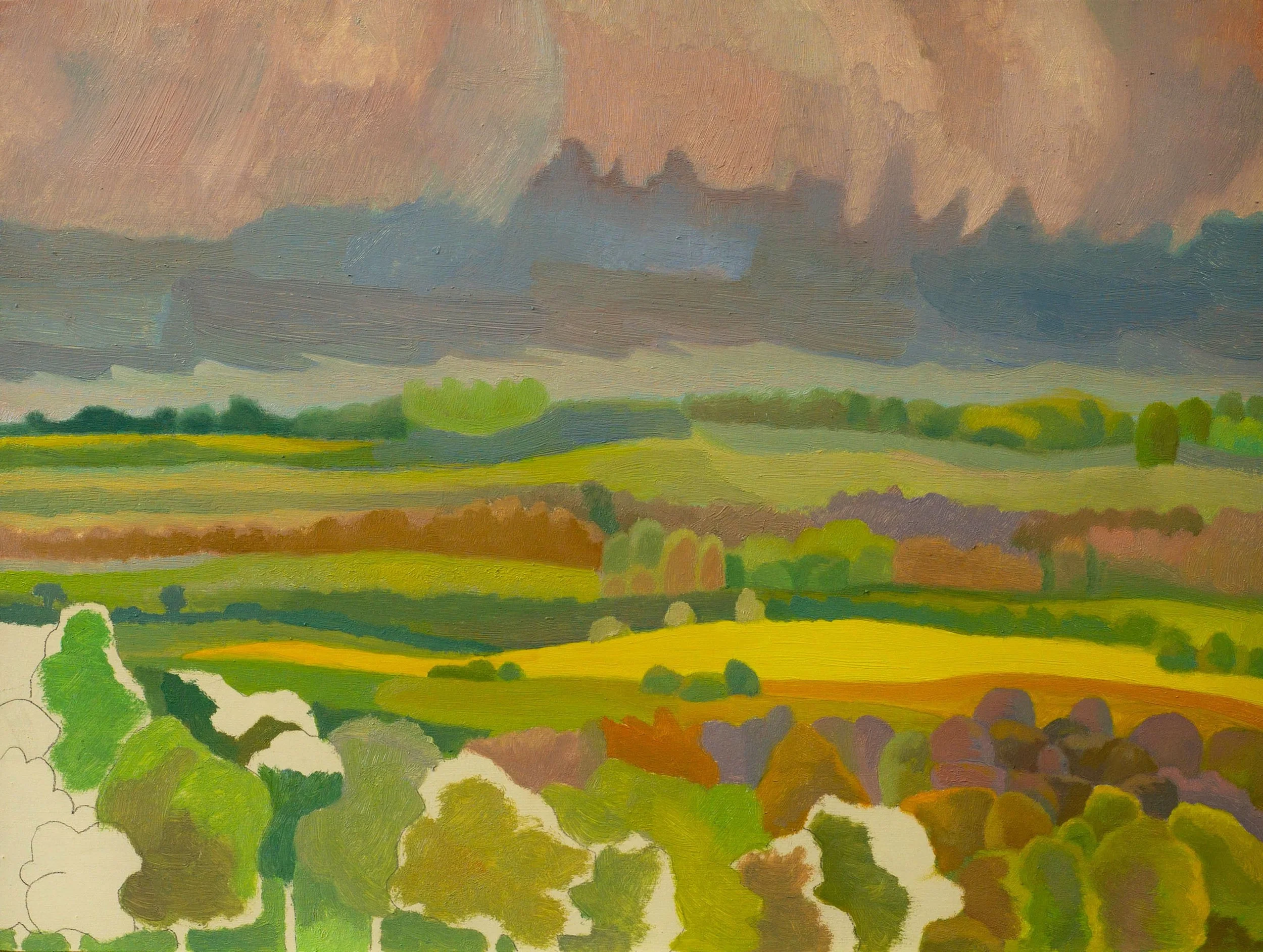 Yellow field, rain imminent. Day 5.jpg