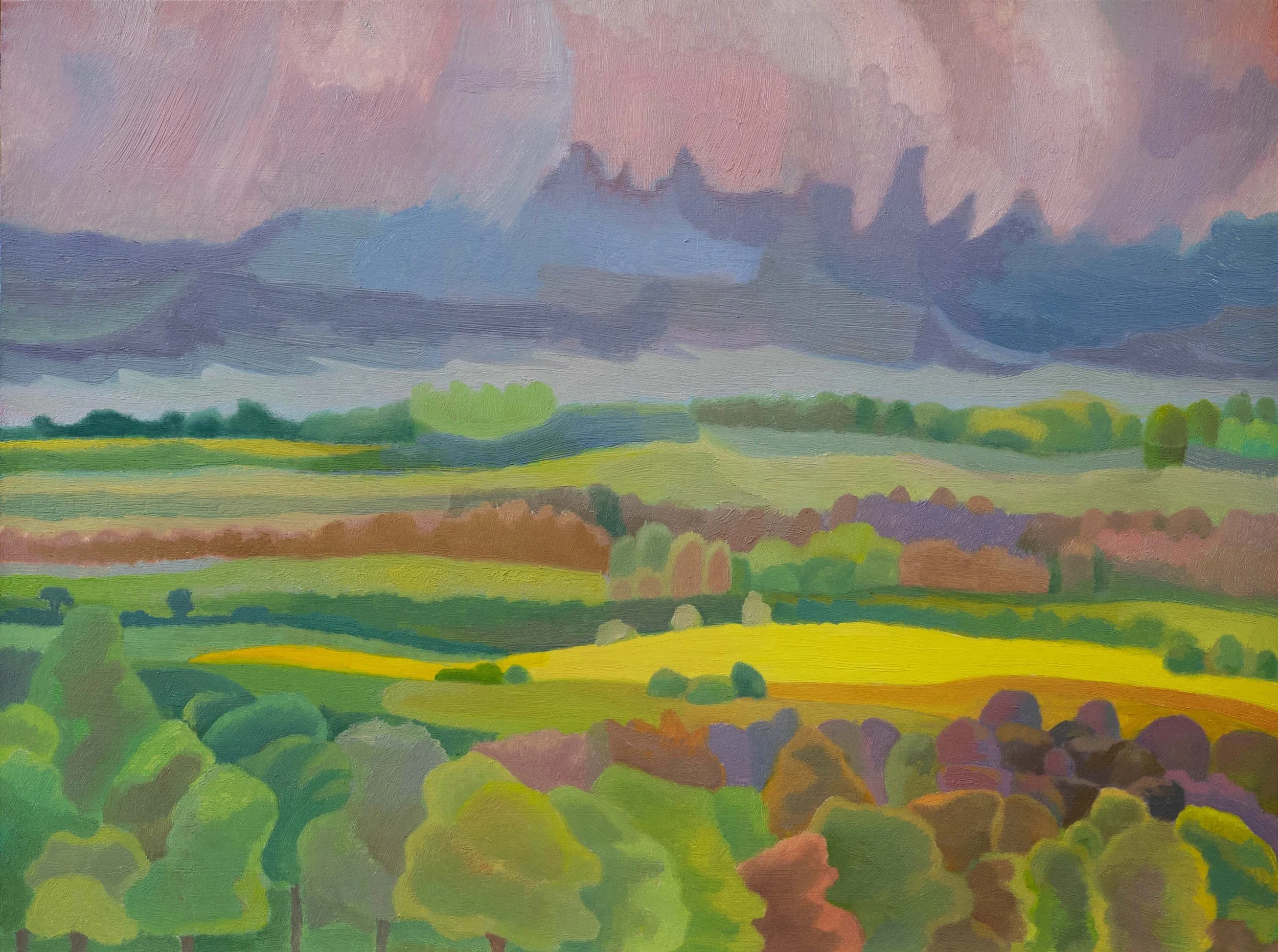 Yellow field, rain imminent. Day 6.jpg