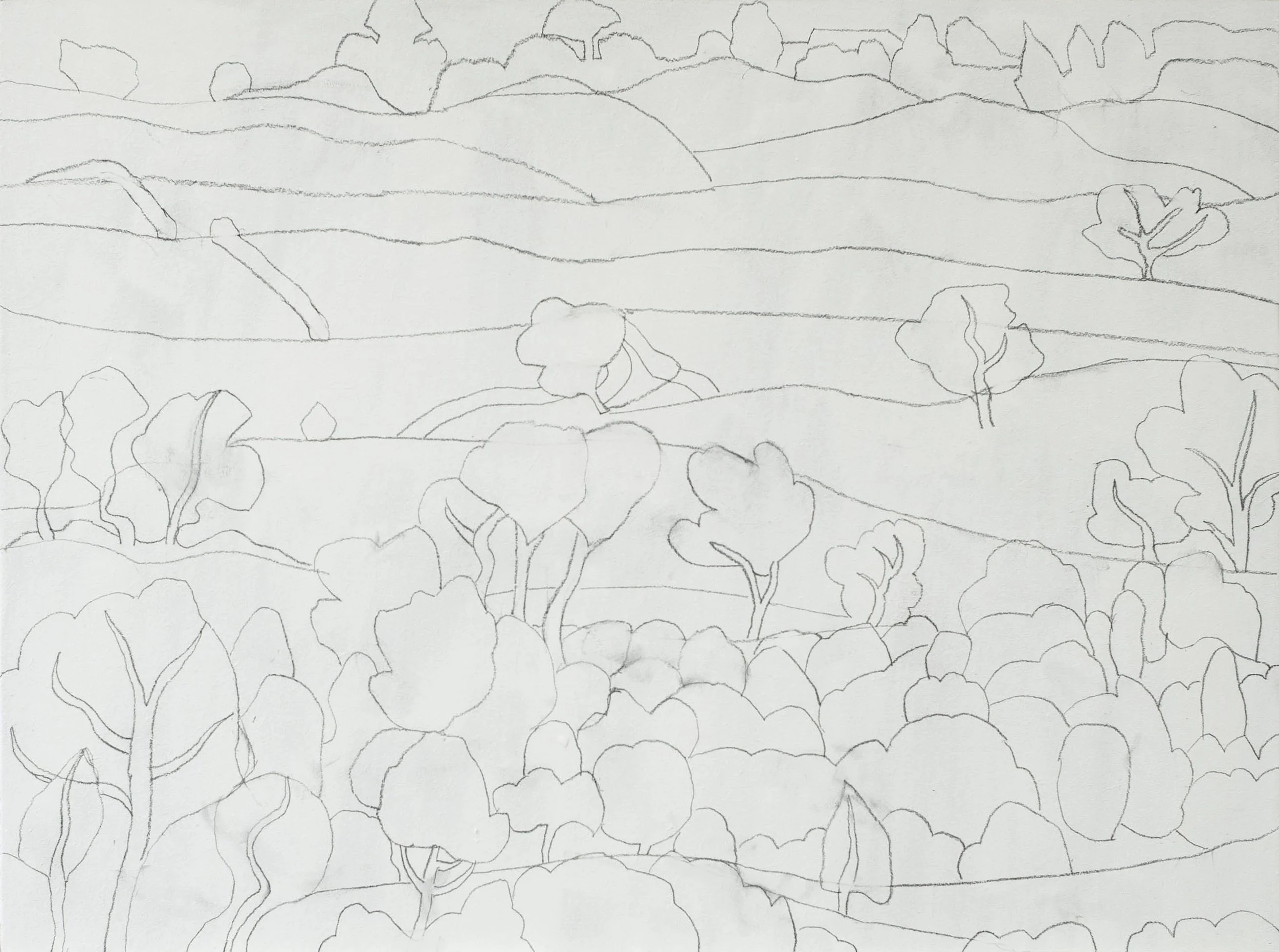 Too many trees Day1.jpg