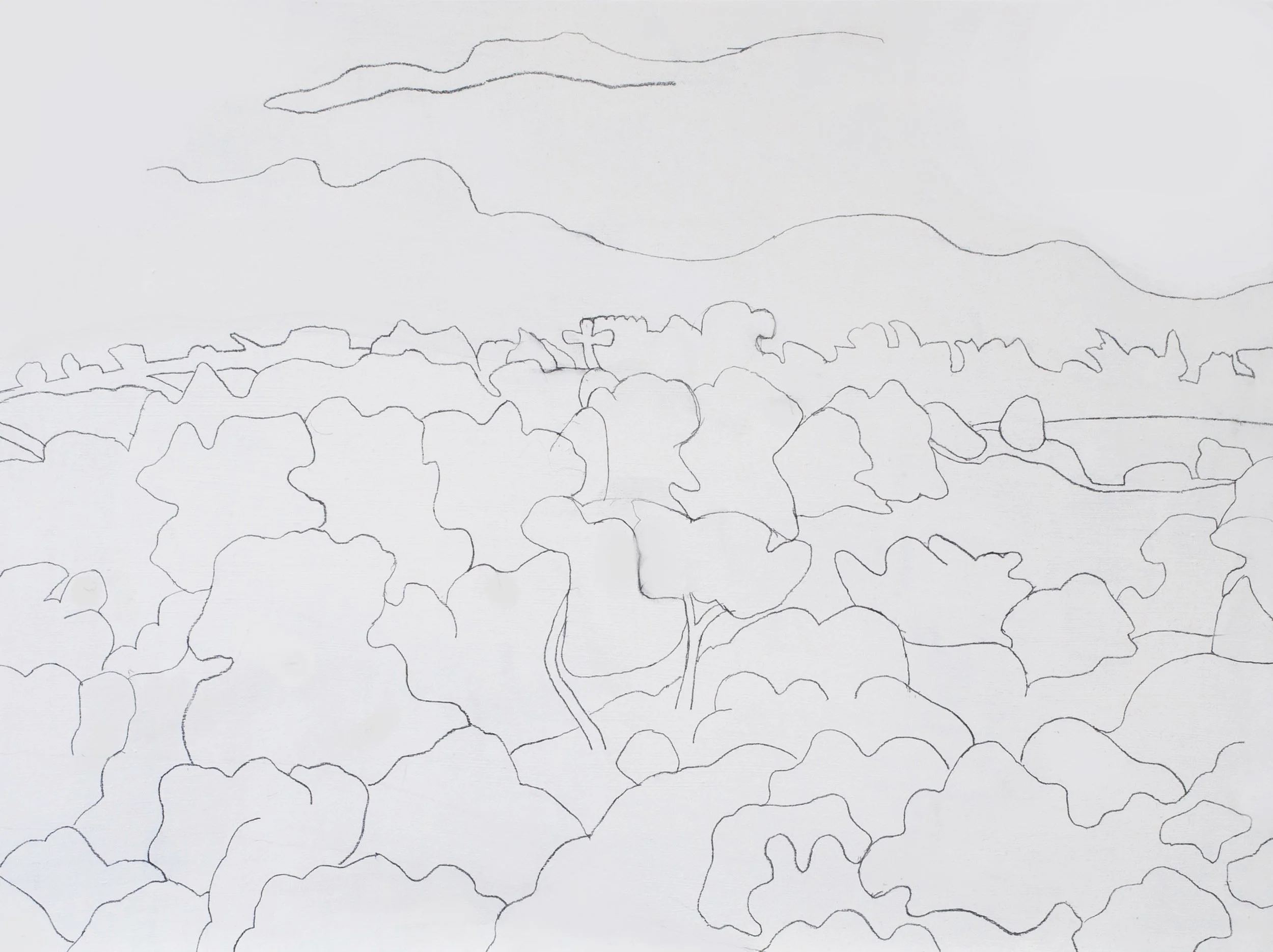 Valley painting Day 1.jpg