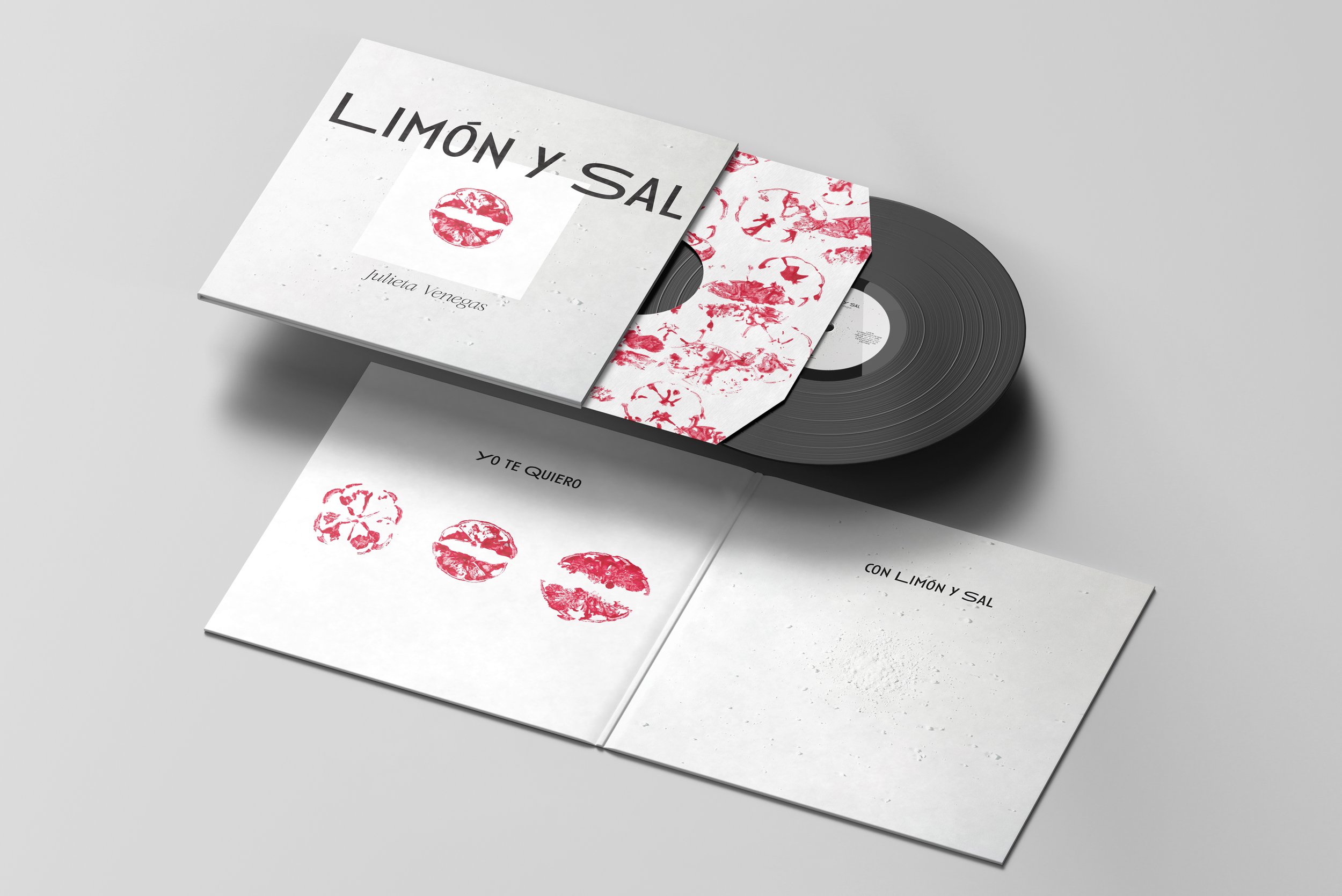 08_Vinyl Mock-up 4-1.jpg