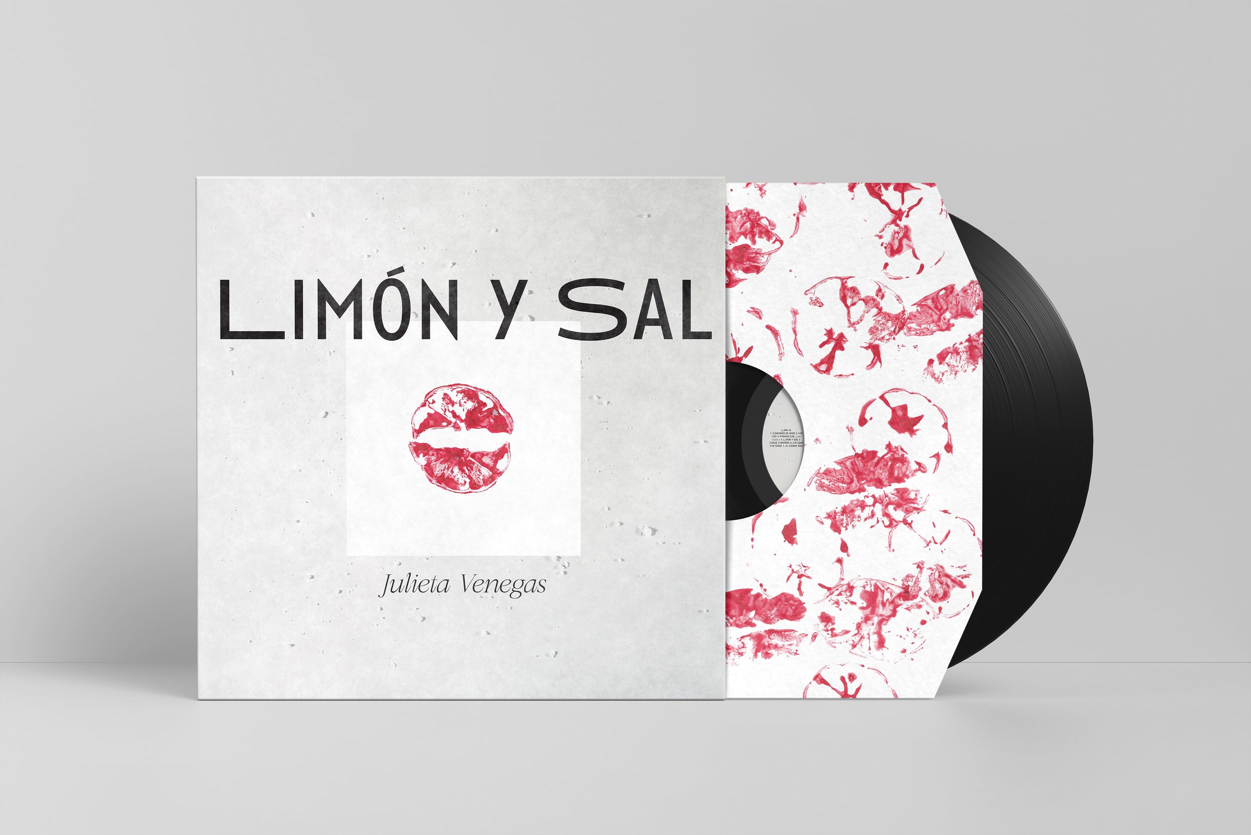 01_Vinyl Mock-up 4.jpg