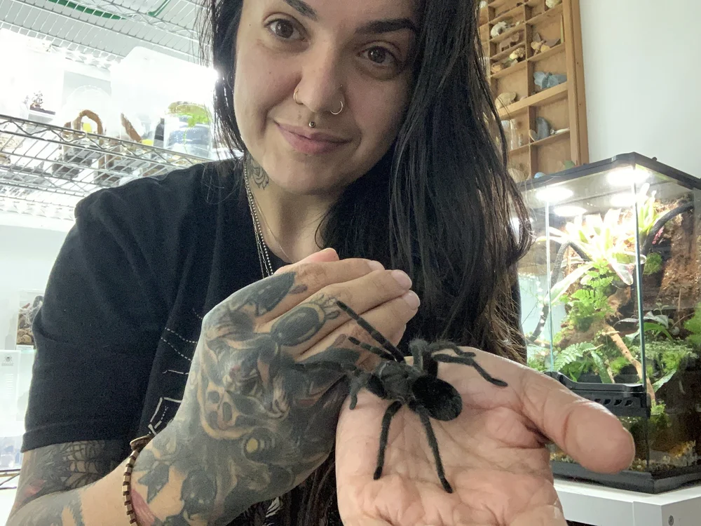  Tea with a juvenile tarantula 