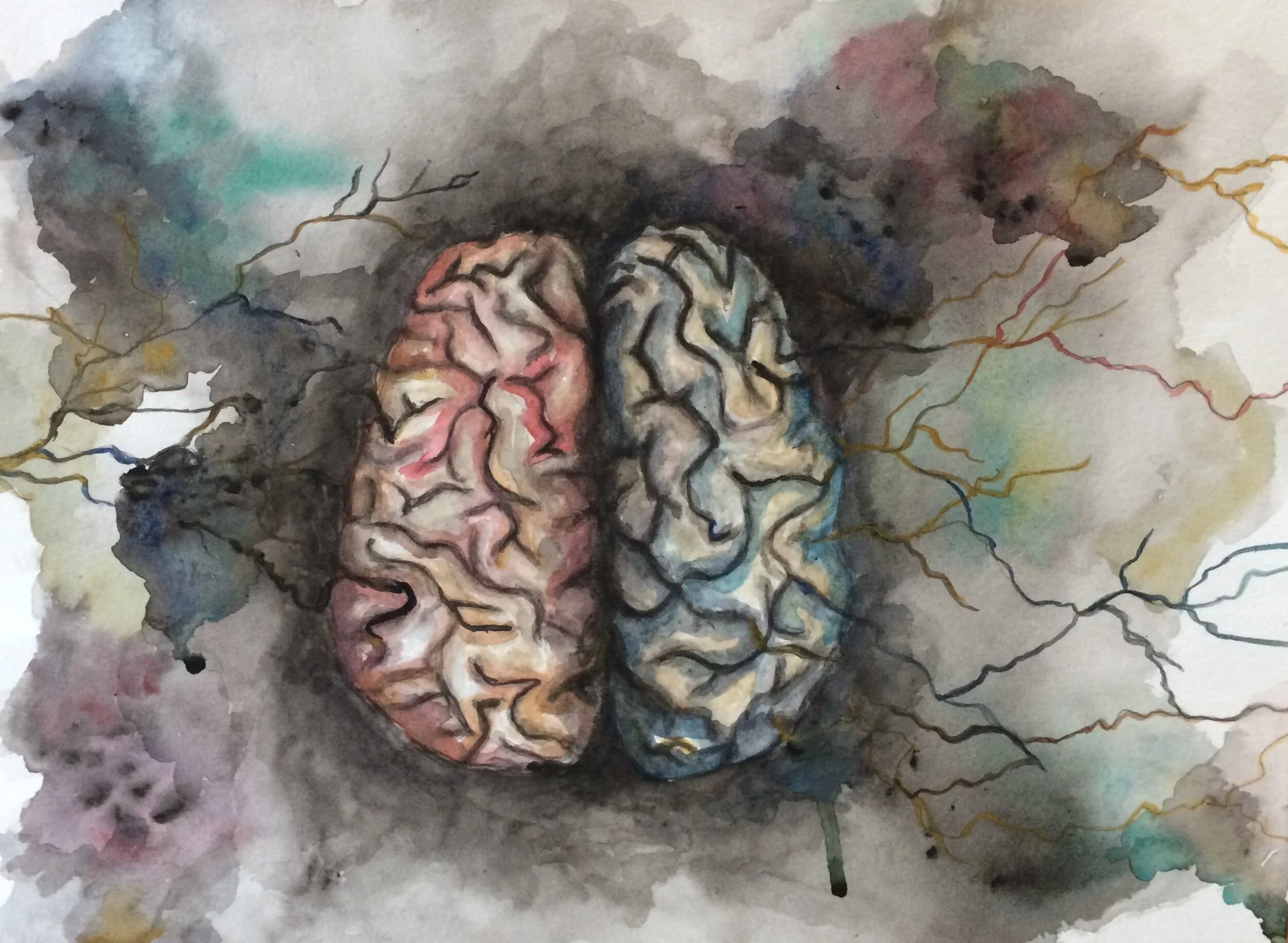 The Healing Muse – Upstate Medical University
