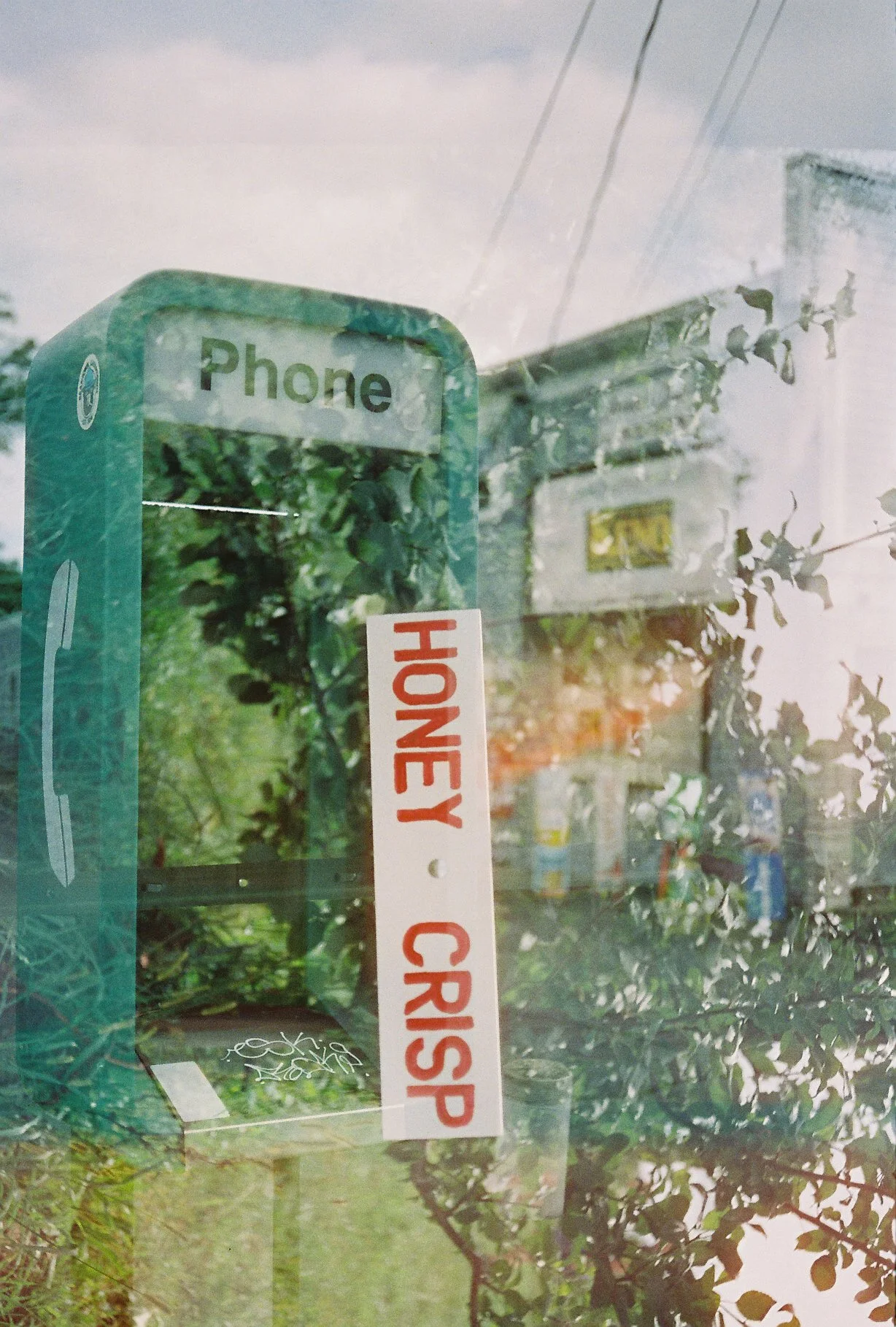 Maryann Gibbons (juror), Honey Crisp Calls, Photograph, $195