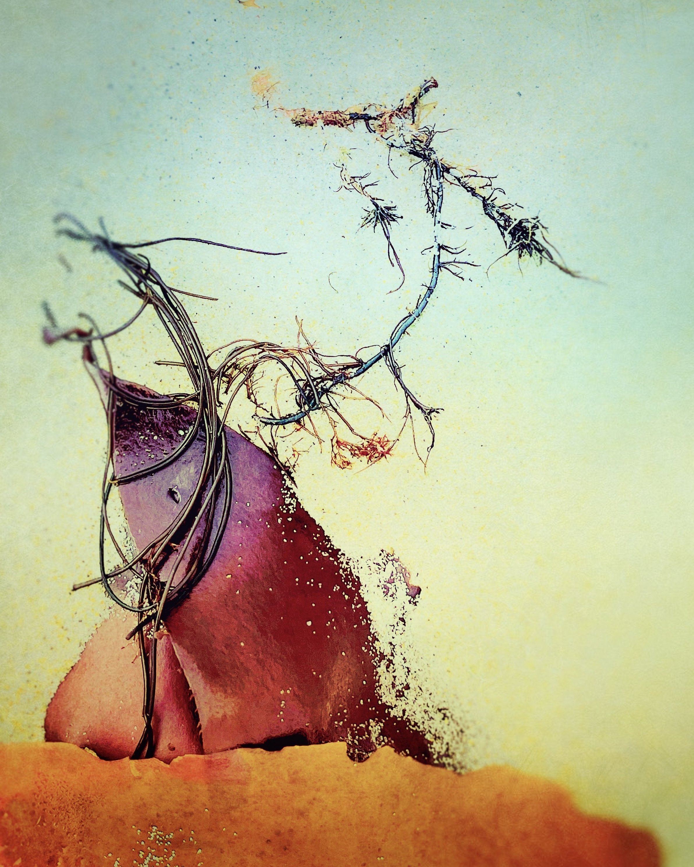 Third Place Photography, Jerry Smith, "falling Apart Slowly", Digitally enhanced photos of seaweed, sand and rocks , 17x13, $250 