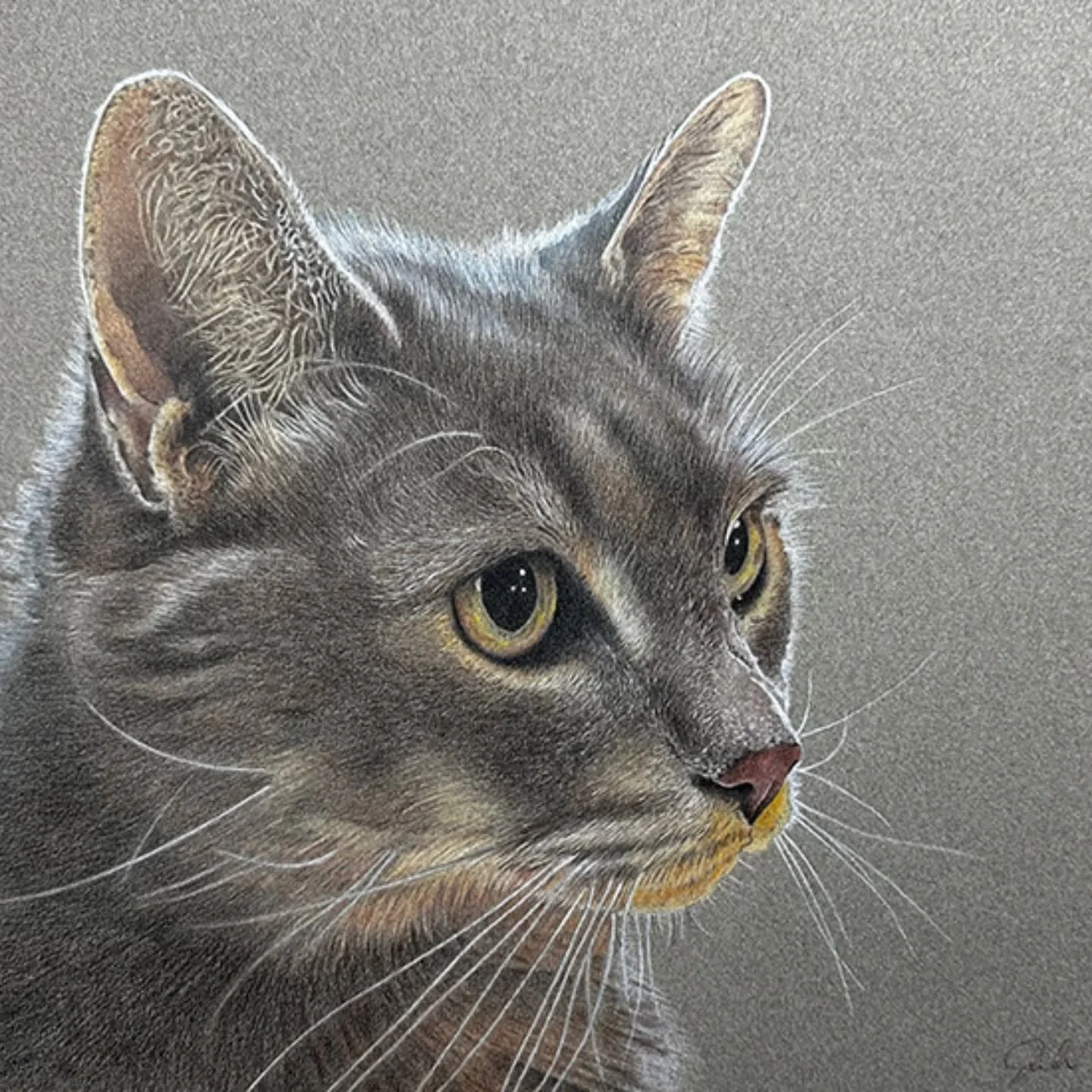 Congratulations to the accepted artists!

Winter Juried Show 2026
Feb 1- April 26, 2026
Reception Feb 22
Art Complex Museum, 189 Alden St, Duxbury, MA 

Elisa Adams 
Lorraine Agri 
Bruce Armitage
Lawrence Asaro
Marcia Ballou
Dixon Bergman
Rita S Berk