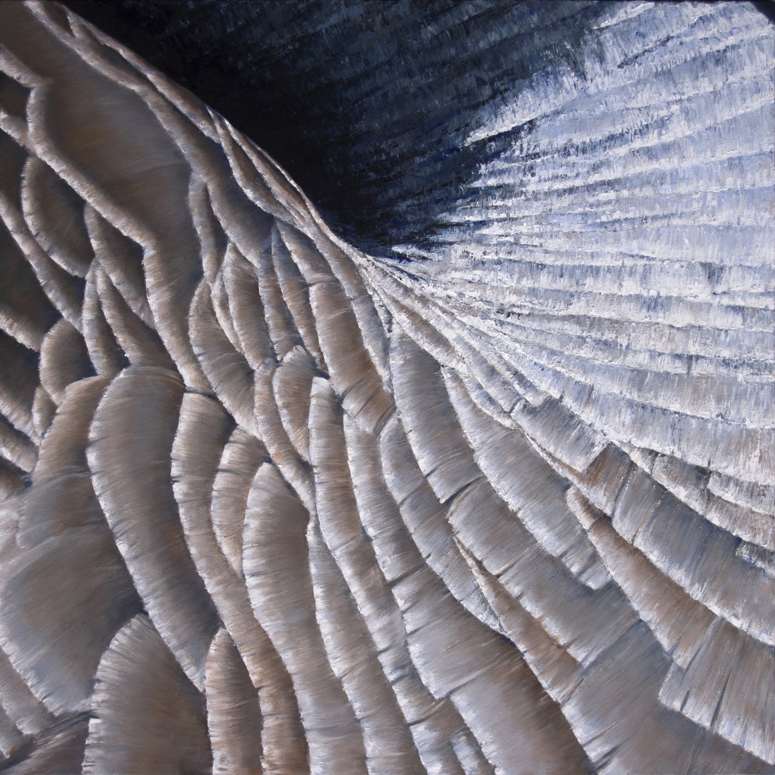 Karie O'Donnell, "Resting Goose 2", Oil painting of a Canada Goose - closeup of his neck. He was resting at Fort Warren on George's Island. 48in x 48, $3,330