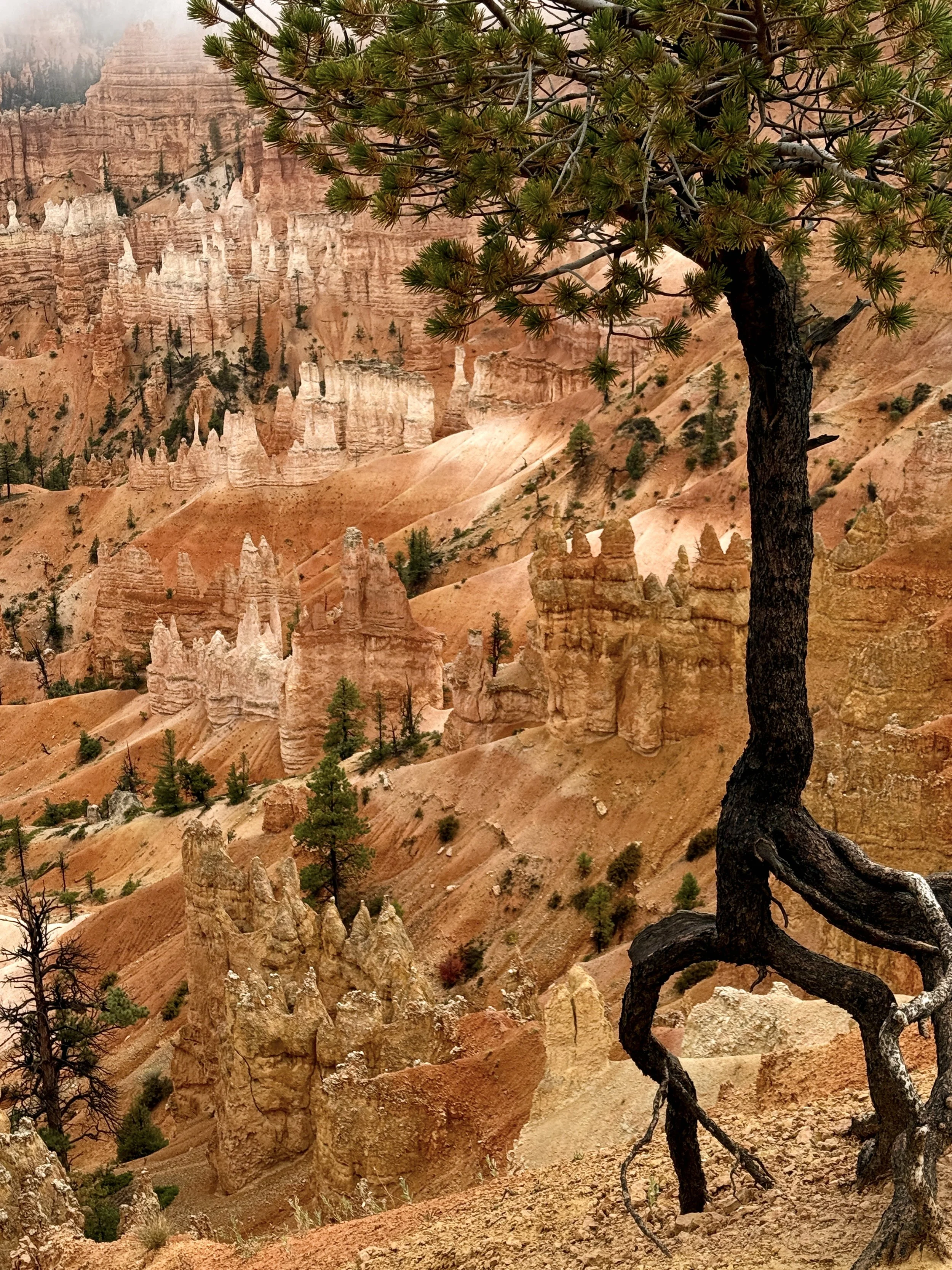 Jan Blanchard, "Dancing on the Edge", 16x20,	Photograph on Metal, SOLD