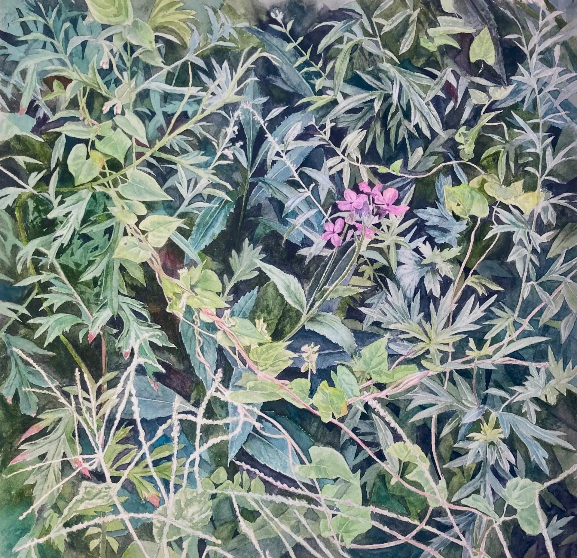 Third Place Watercolor, Bruce Nickerson, "Phloxenweeds", 14x14,  $ 900