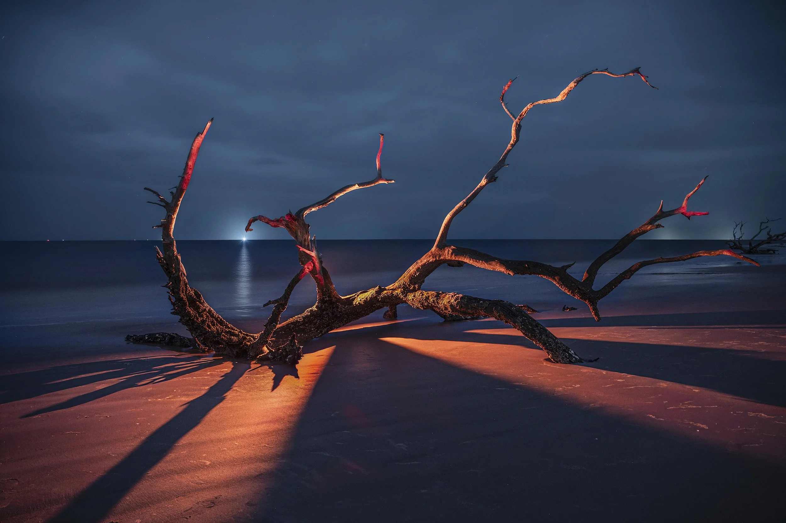 Elizabeth Ryan, "The Dinosaur Hour", Night photo lit by artist, 20.5x28, $350