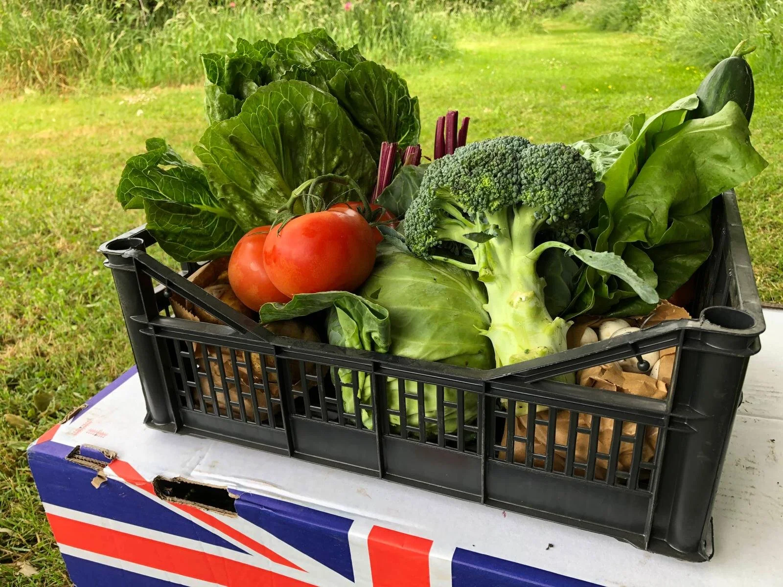 Small Veg box from Wilkesley Vegetable Hampers
