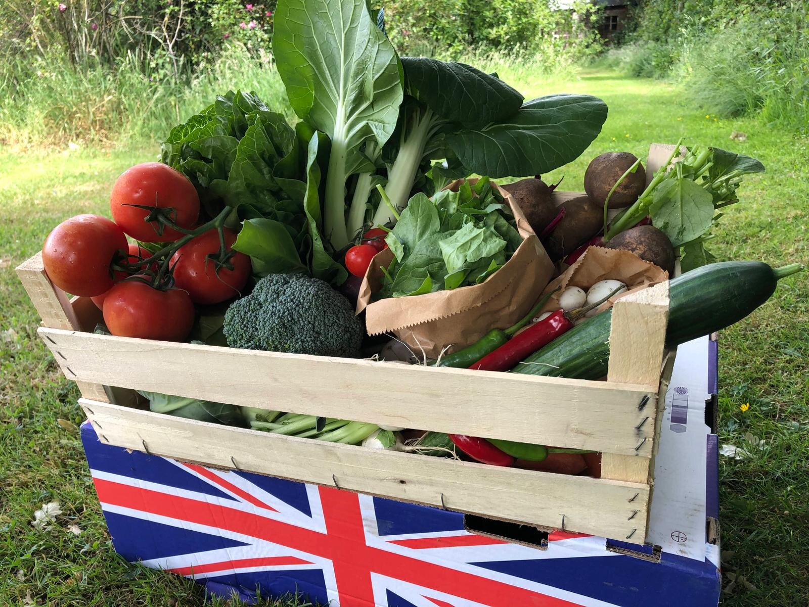 Large Veg Box from Wilkesley Vegetable Hampers