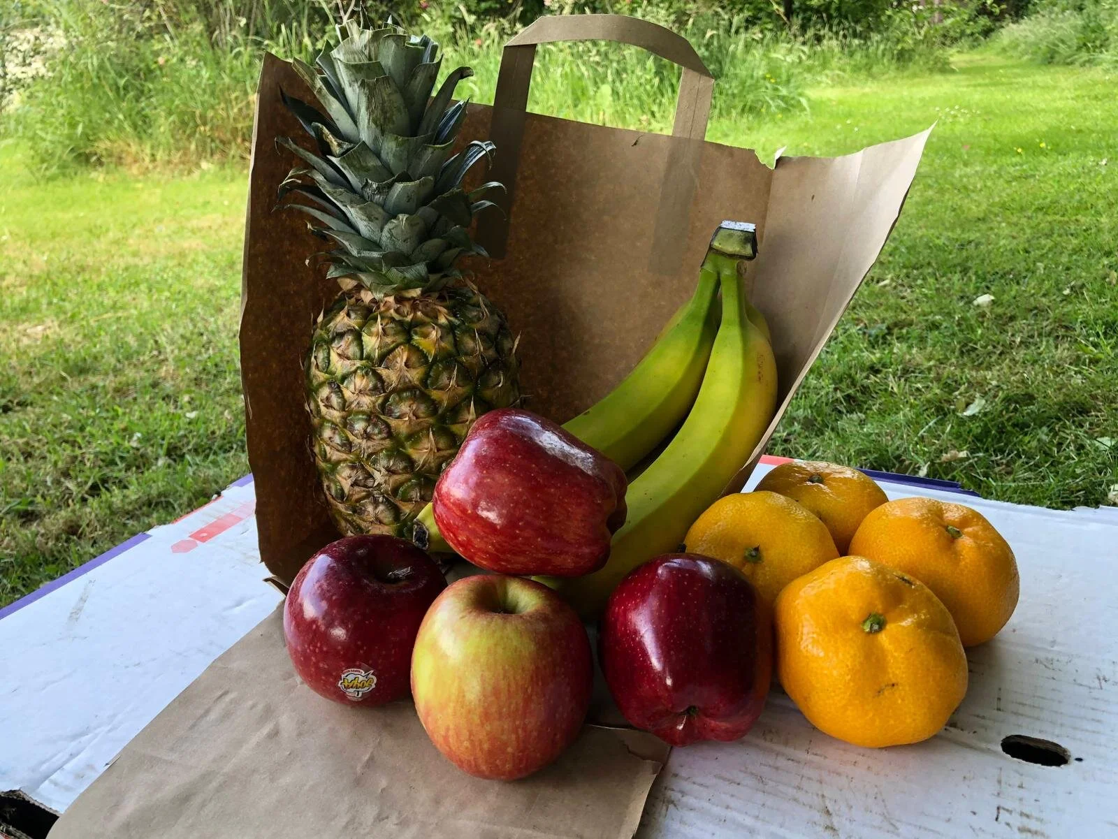 Wilkesley Fruit Bag