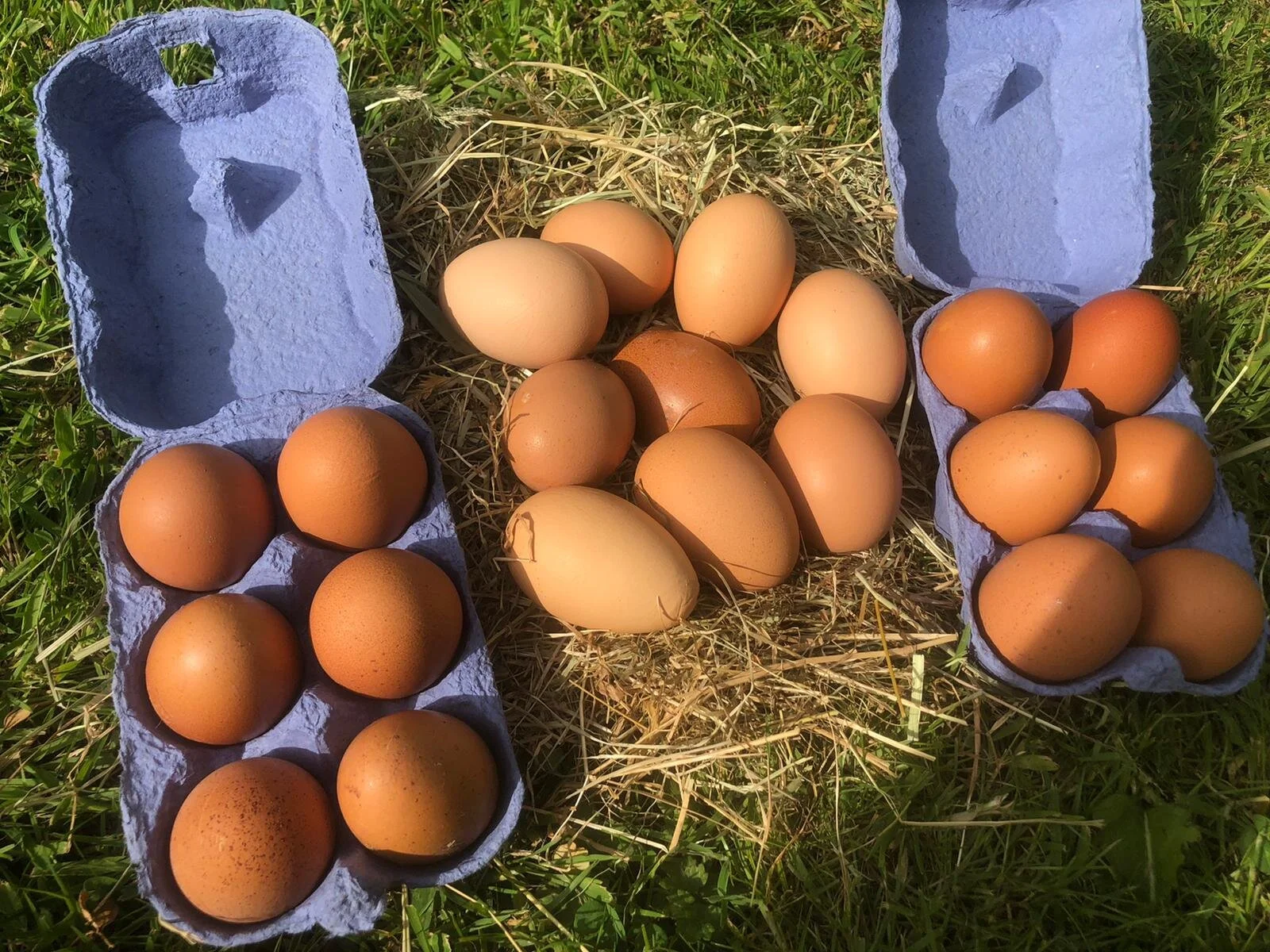 Free range eggs from Wilkesley Vegetable Hampers