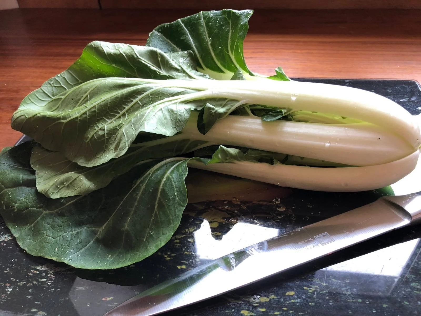 The story of a Pak Choi from Seed to Harvest