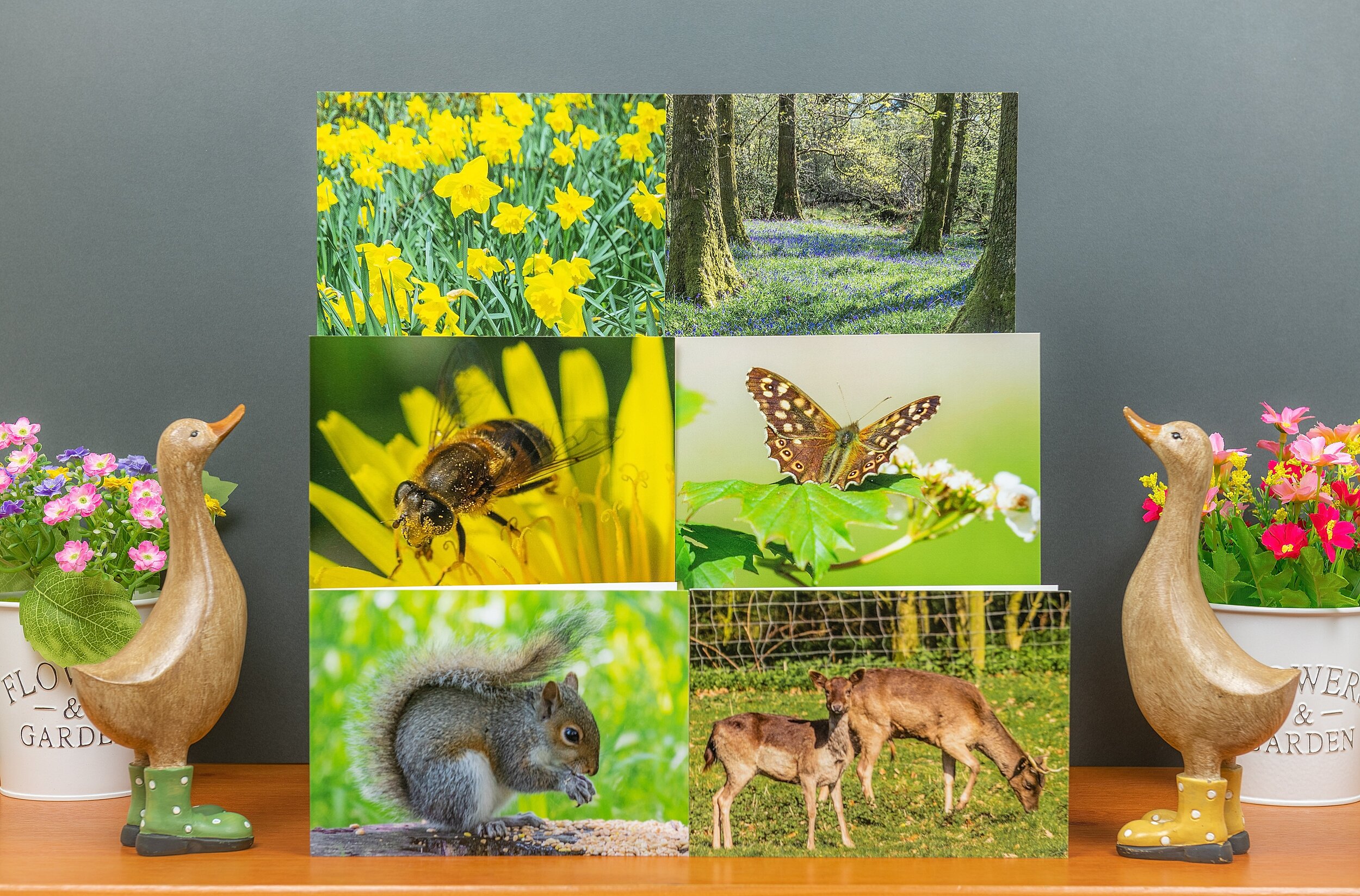 Six Greetings Cards ~ Nature
