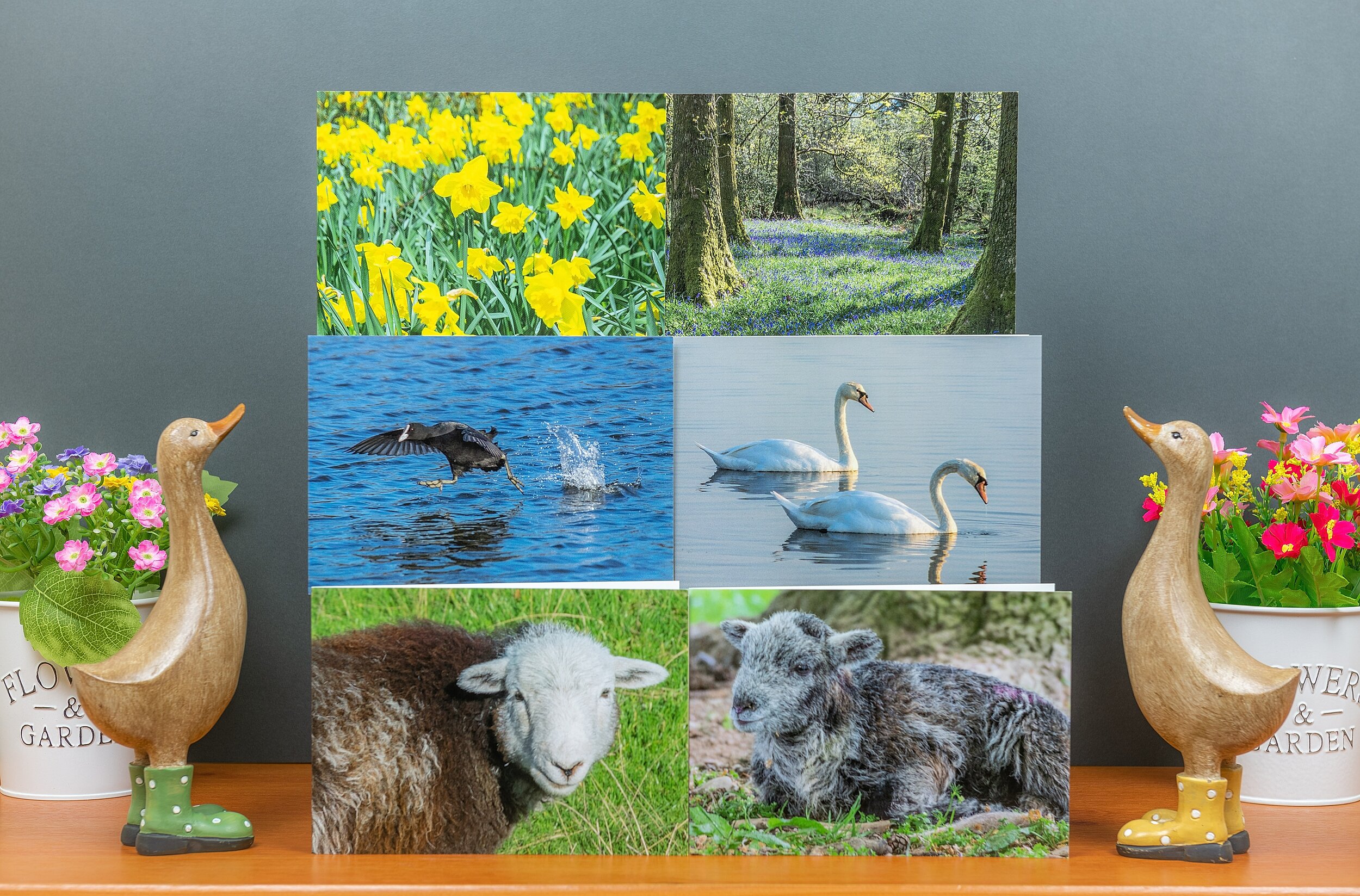 Six Greetings Cards ~ Spring