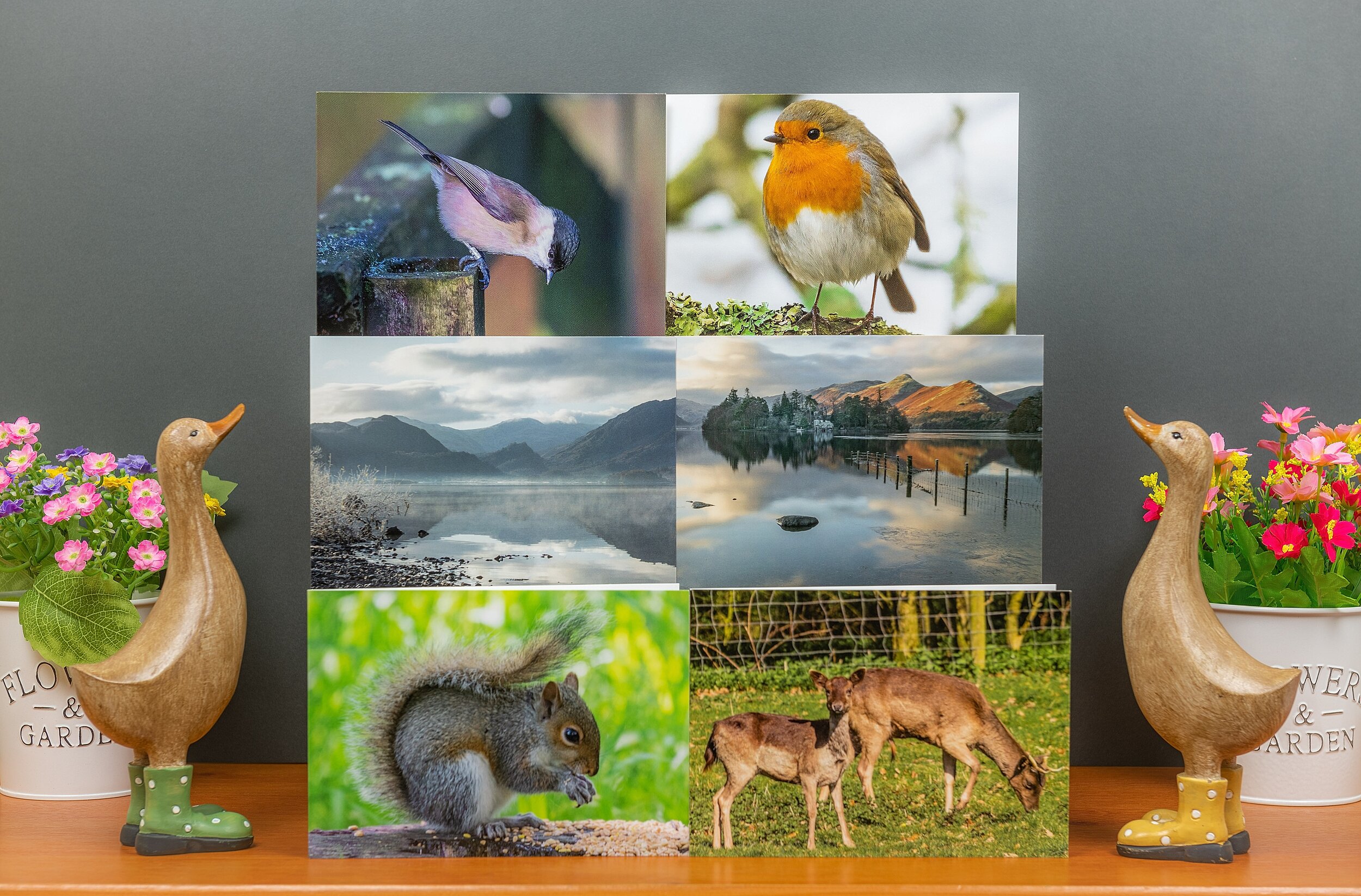 Six Greetings Cards ~ Mixed Pack A